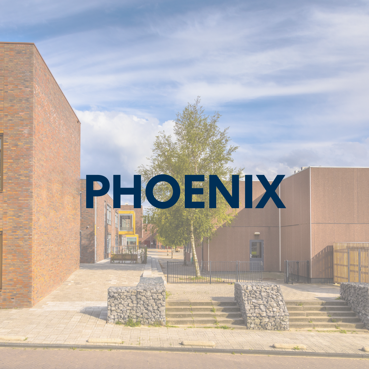 phoenix 1.png