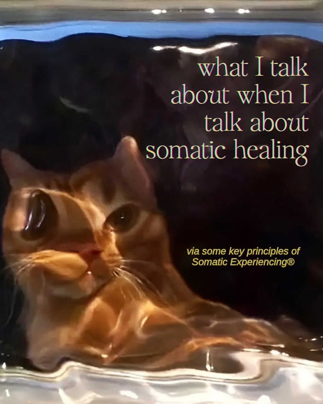 Scorpio season is the perfect season to meet your edges and transform your pain into pleasure ❤️&zwj;🔥Somatic Experiencing&reg; ~ the main somatic modality in trained in ~ is a bottom-up approach to healing chronic stress and trauma. If you&rsquo;re