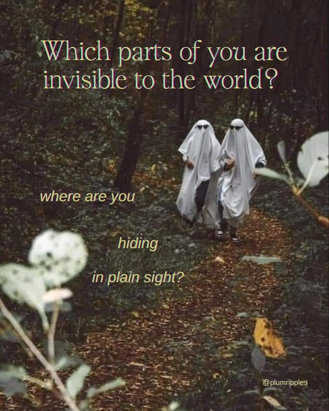 Unshaming &ldquo;not being present&rdquo; ~ my Moon in Aquarius thoughts as I celebrate another lunar return.

Inviting a gentle witnessing.

Can you let yourself Not Be Here for a moment?

What if there is no correct right way to relate to your body
