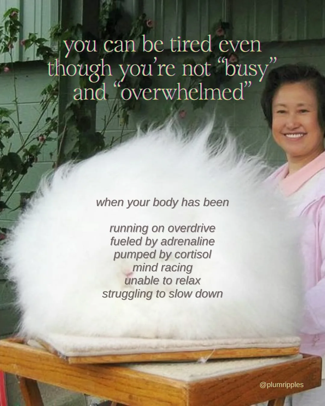 I continue to learn in real time how becoming skillful takes practice. Like learning how to stop, to pause, to rest, to decompress, to say No, to keep slowing down when the world goes faster, to do less, to stop trying so hard and to return to the ho