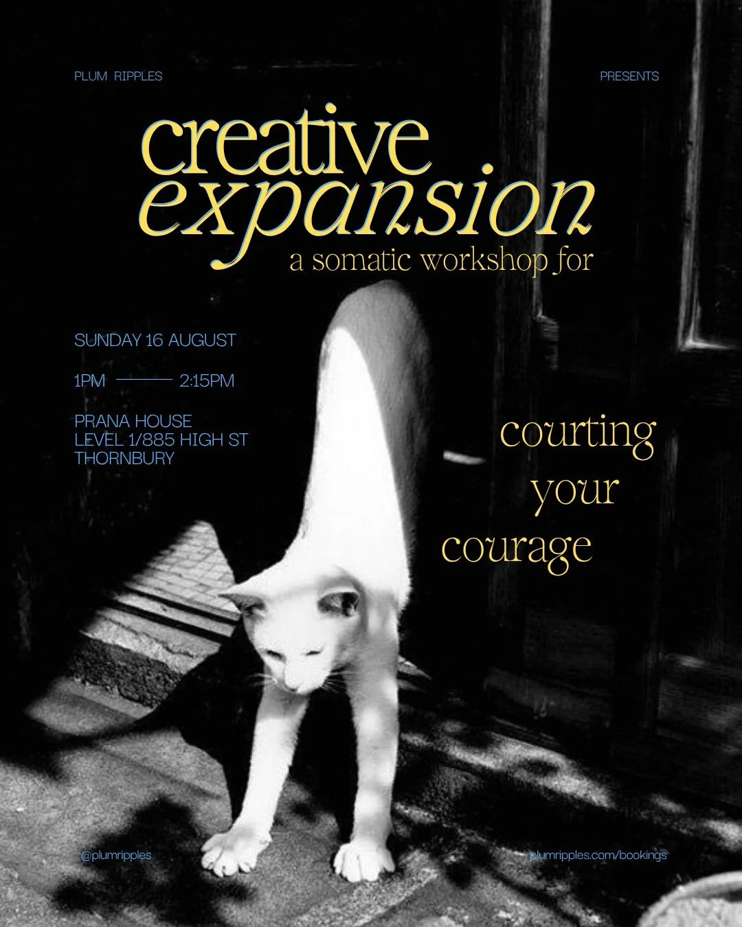 In the wake of the Leo solar eclipse, Creative Expansion is a somatic workshop on alchemising survival-based patterns around your creative self-expression. 

As Jupiter in Leo expands our belief in our own creative possibilities, this is a potent tra