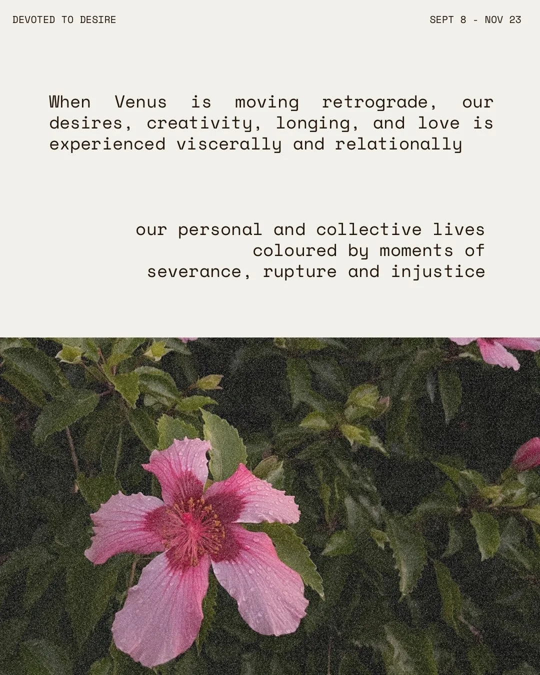 In October, Venus repeats her 19 month cycle with the Sun and Earth and descends into her underworld journey. 

Venus - planet of desire, beauty, relationships, art, romance - will retrograde for 40 days and move into a brief period of invisibility t