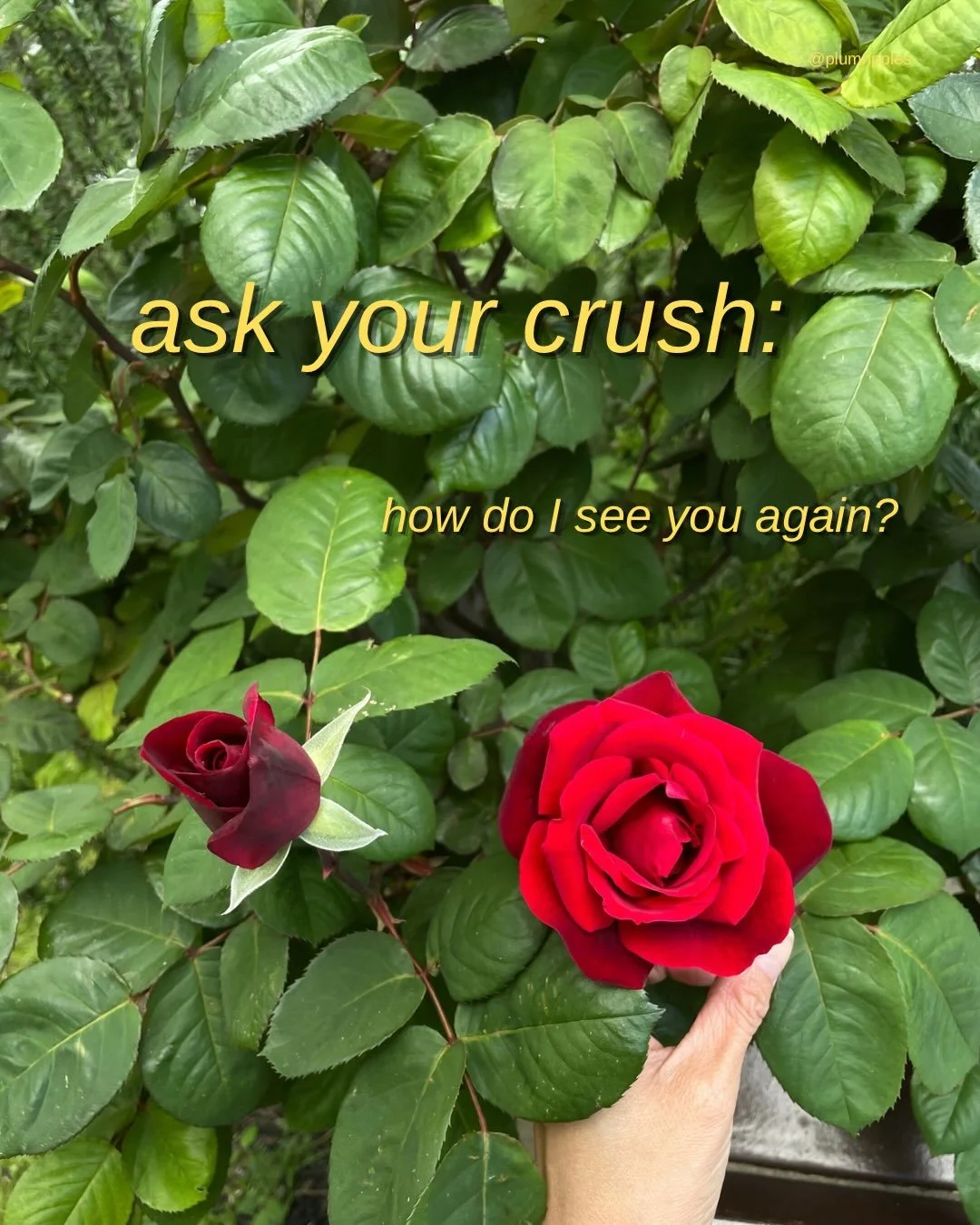 Recalling a Venusian relational practice of asking and receiving I wrote about in my newsletter last week, inspired by my Venusian pal being forward and flirty. Next missive goes out tomorrow. Do I know what it&rsquo;s going to be about? No. Will it 