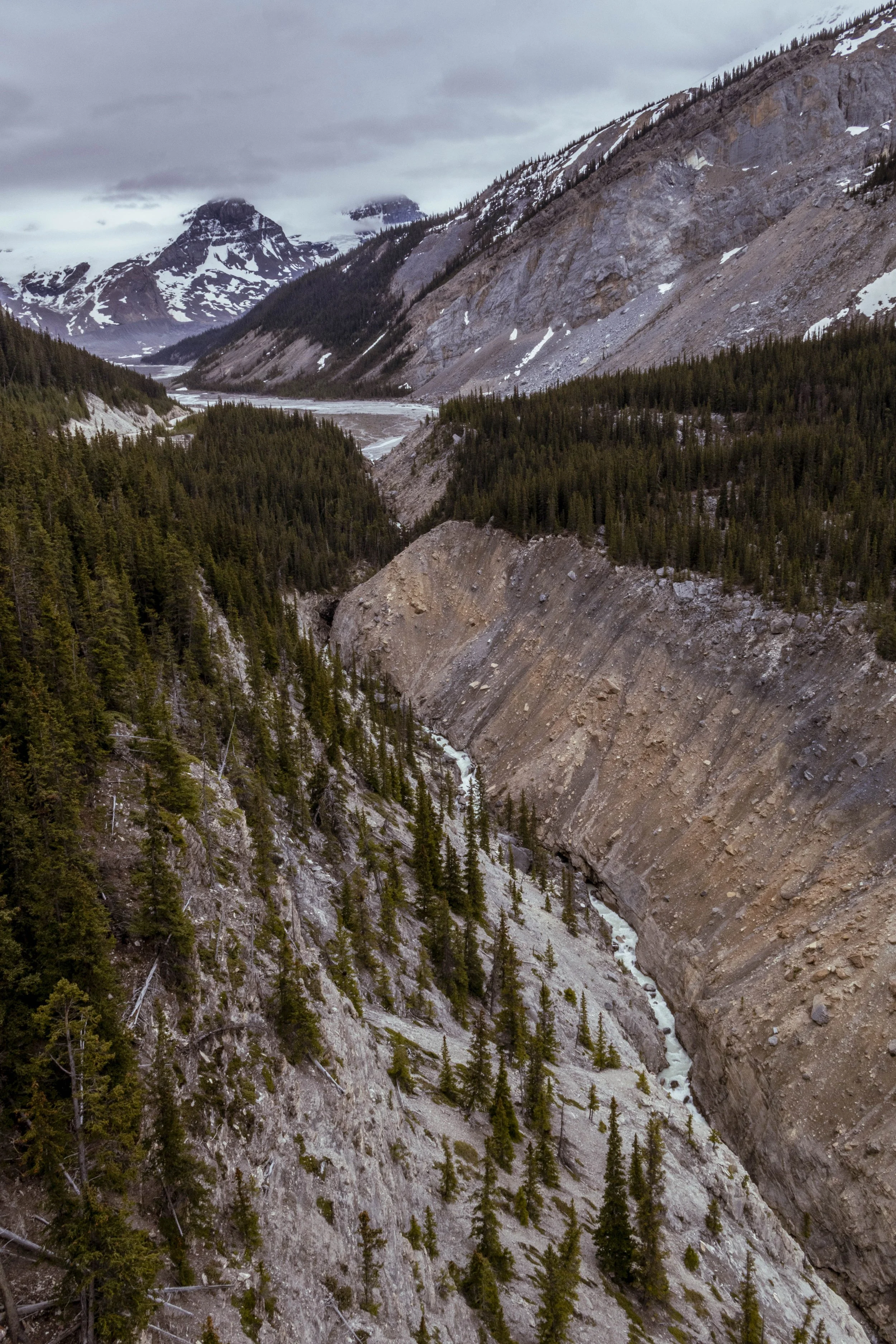 Canada_2026_145.jpg
