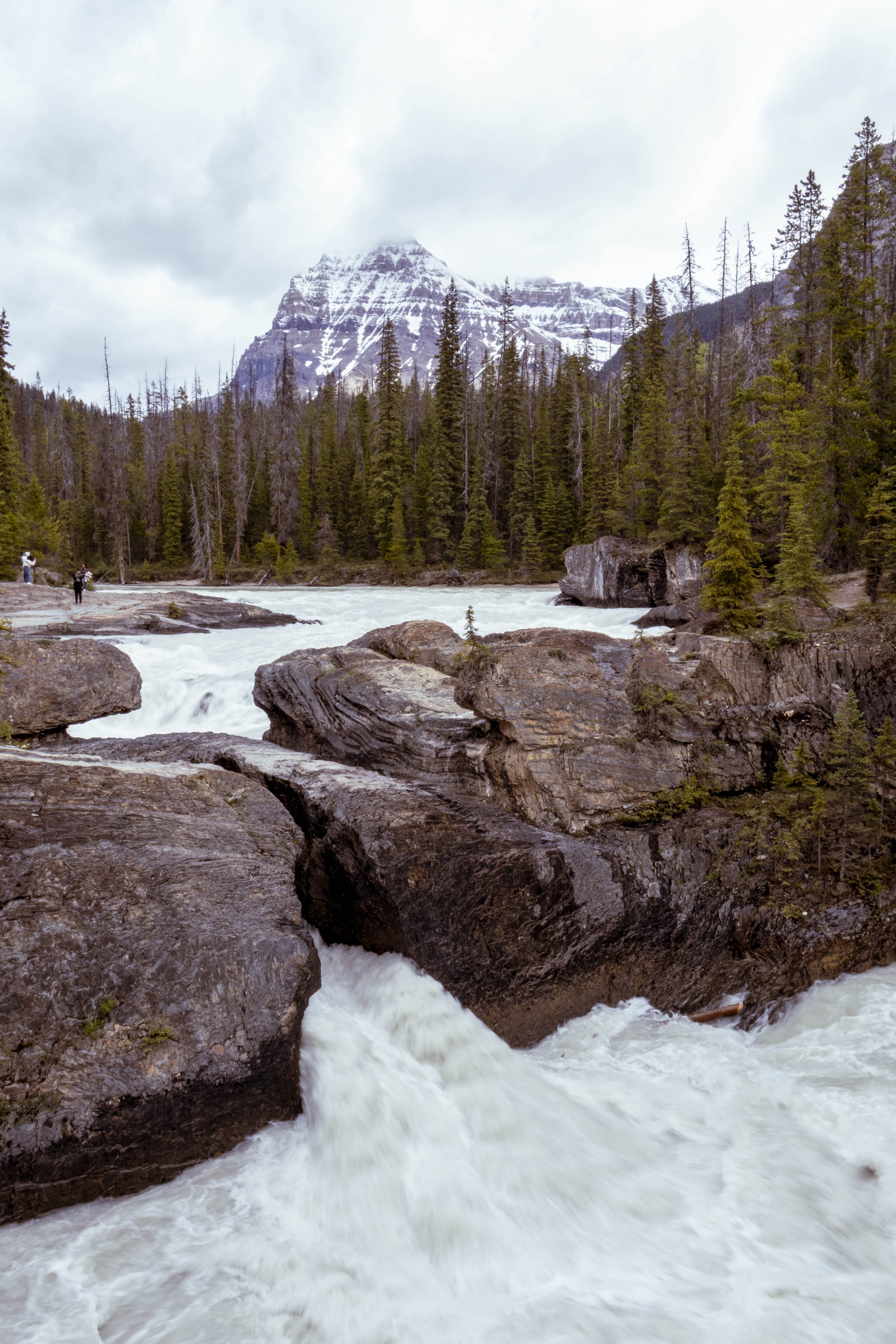 Canada_2026_084.jpg