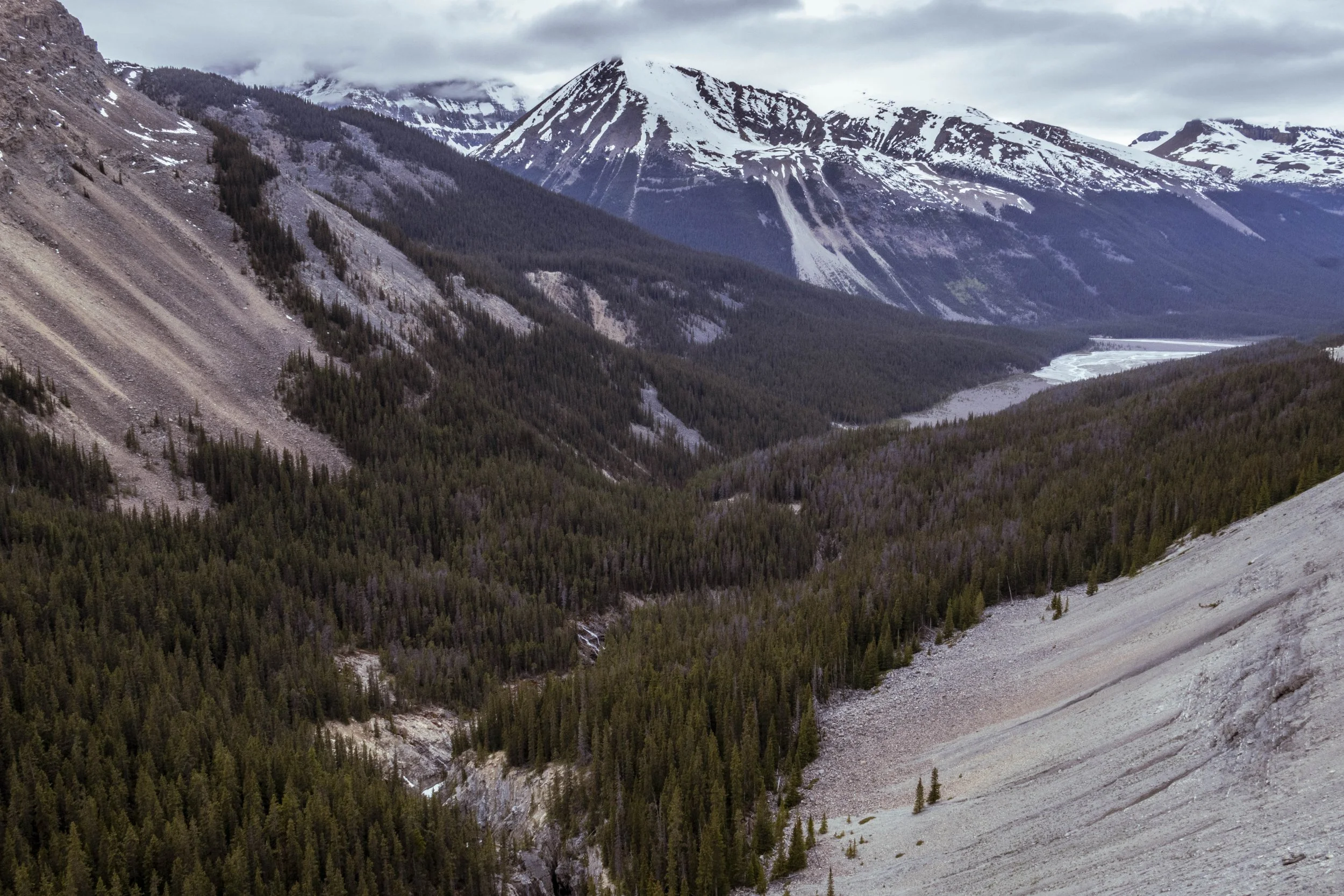 Canada_2026_143.jpg