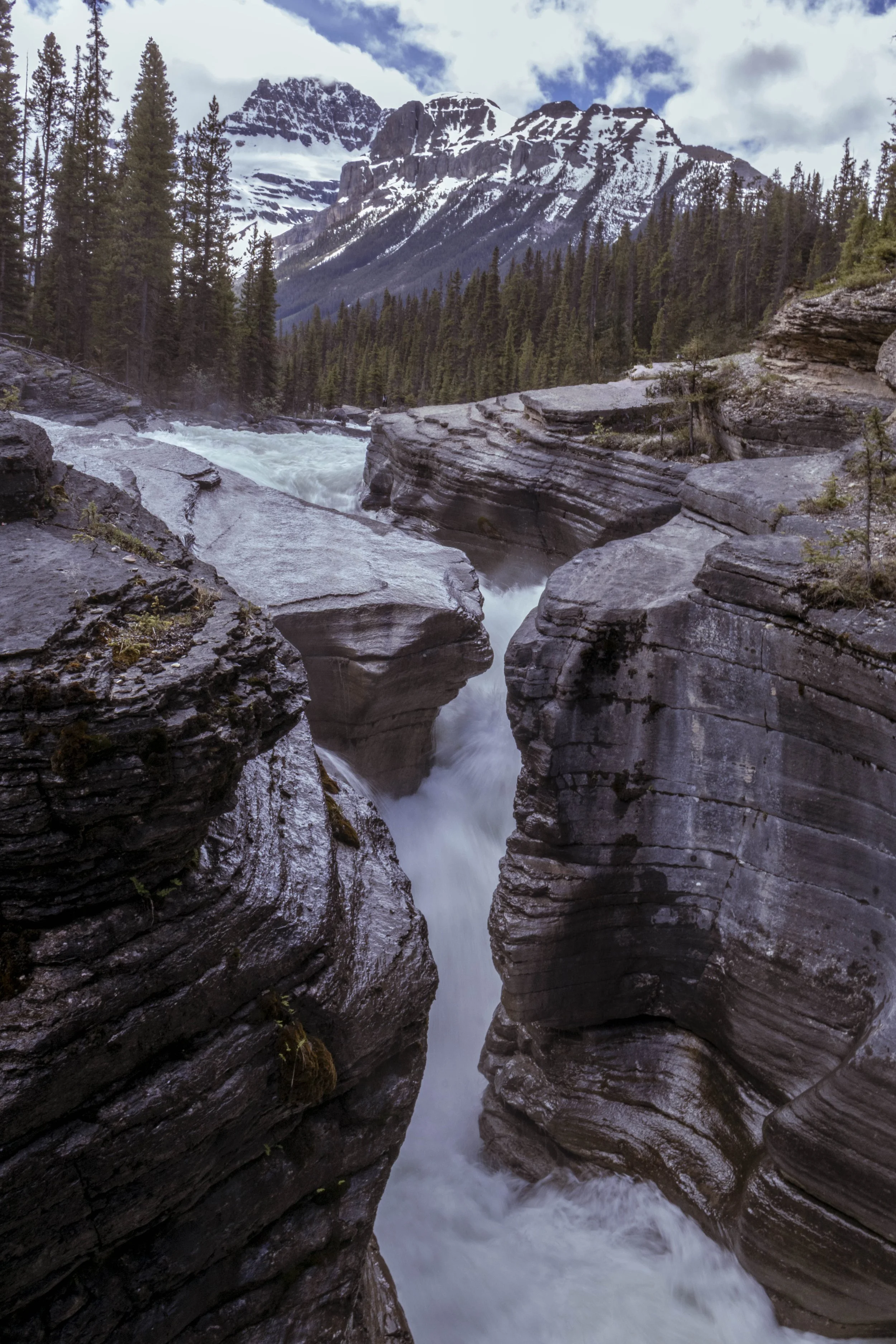 Canada_2026_294.jpg