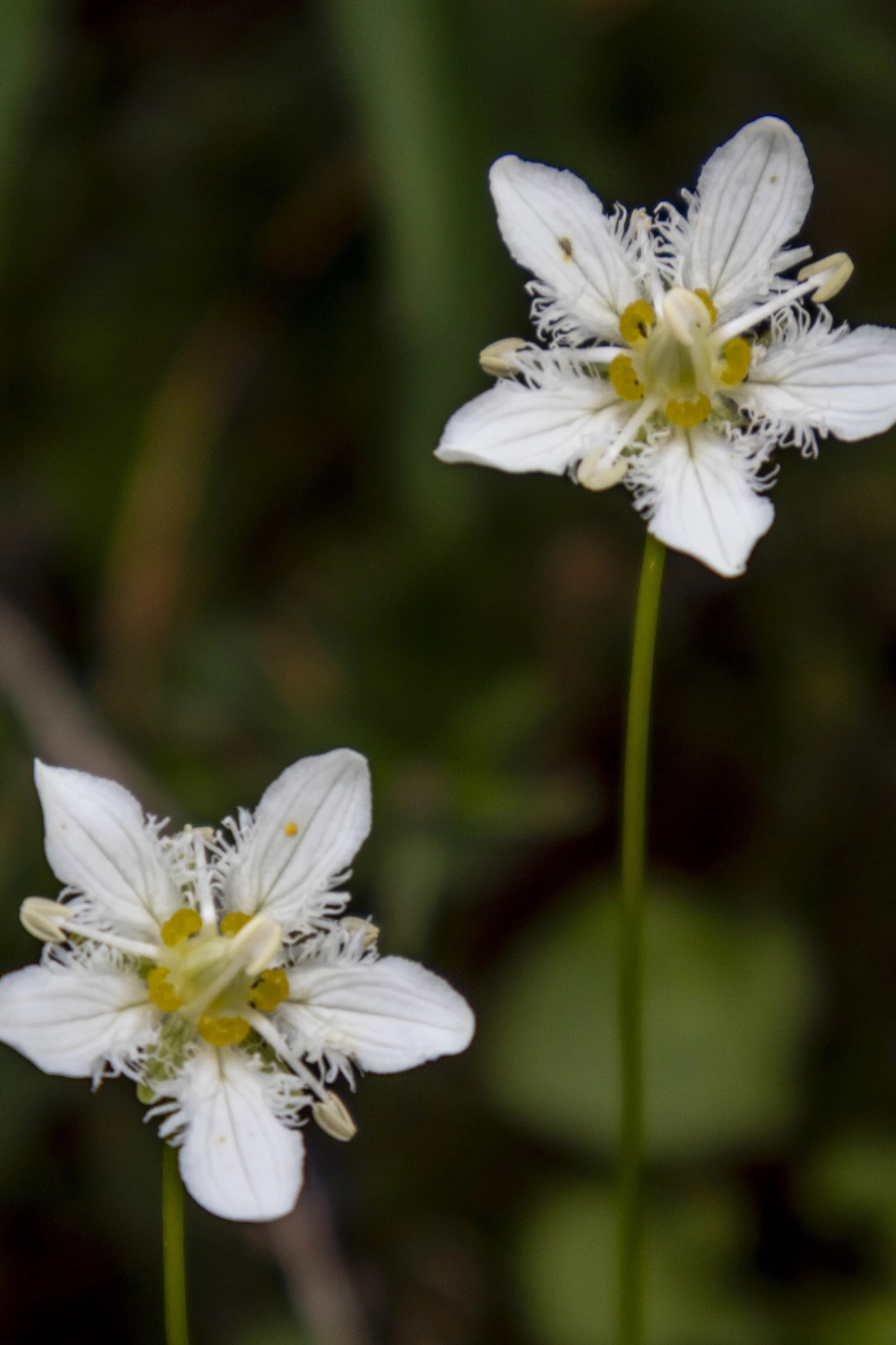 2025_Canada_200 - Copy.jpg