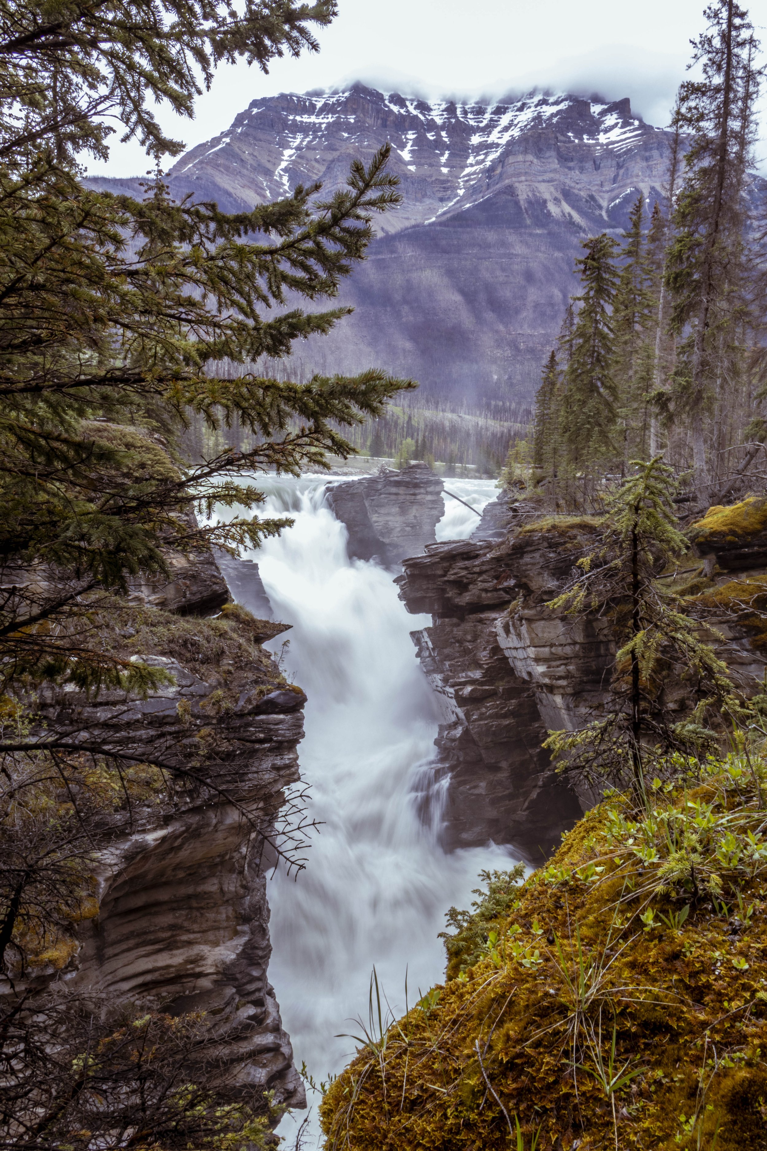 Canada_2026_115.jpg