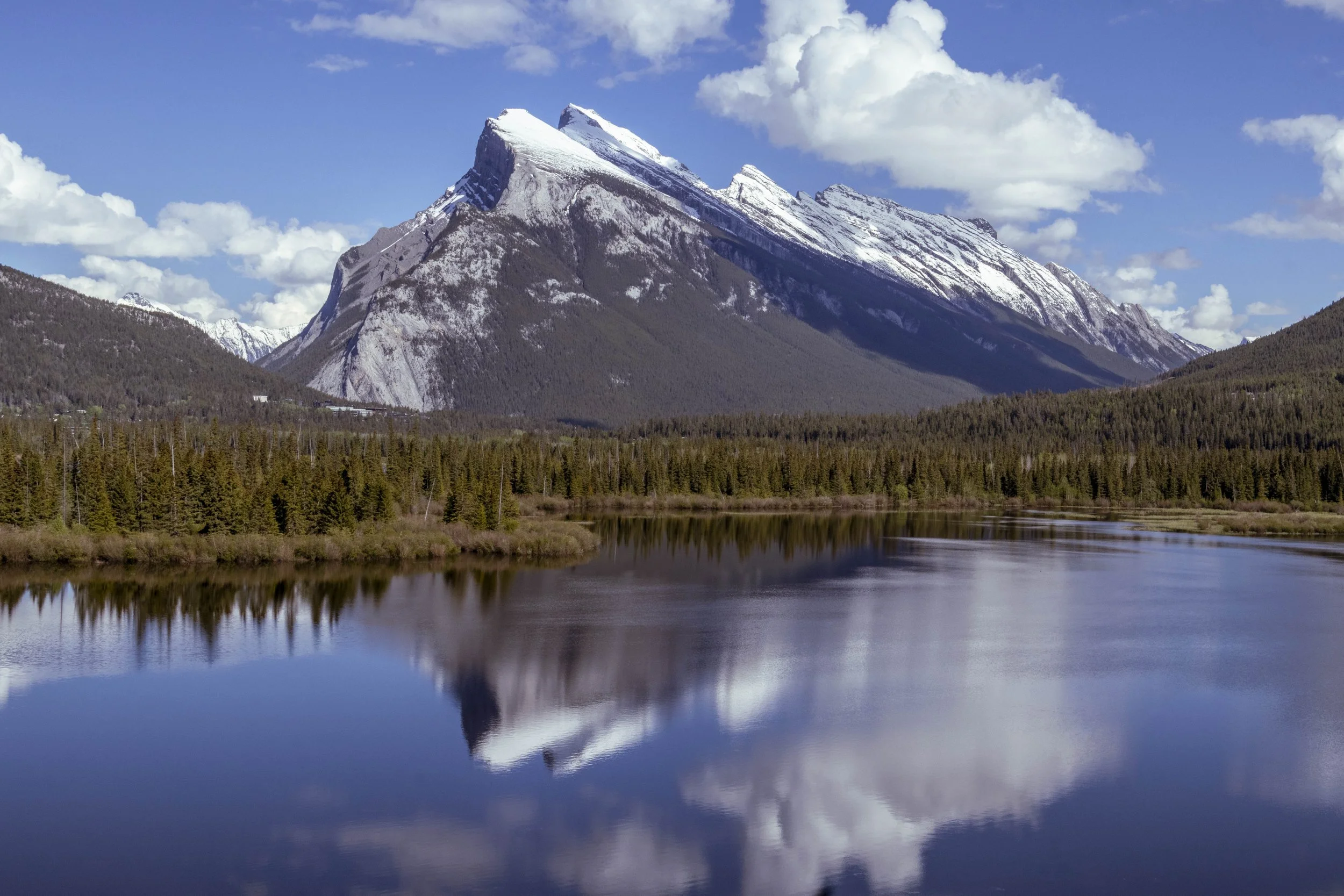 Canada_2026_232.jpg