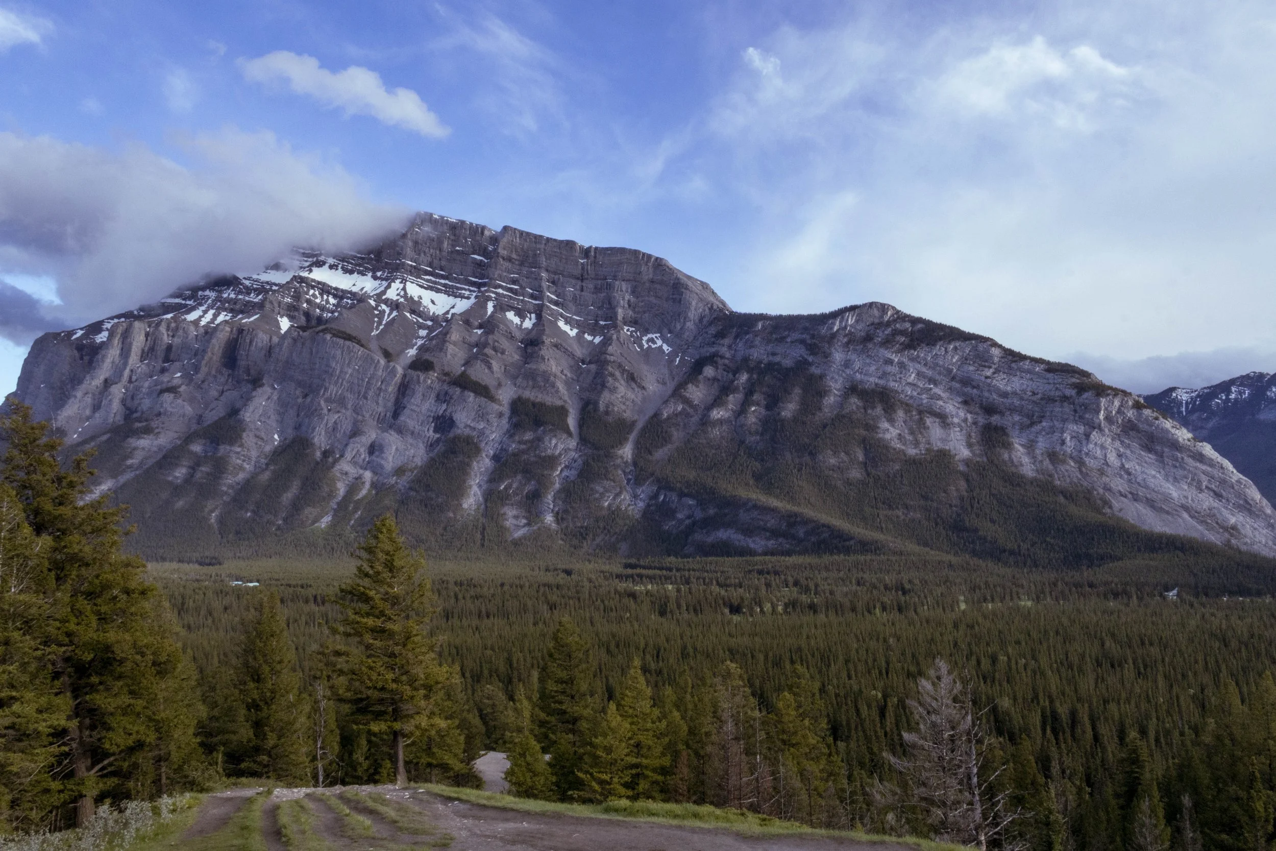 Canada_2026_376.jpg