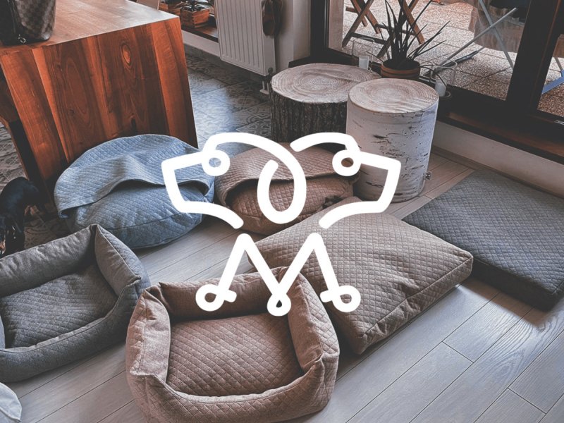 Satisfied client - visual branding - My dog Your dog