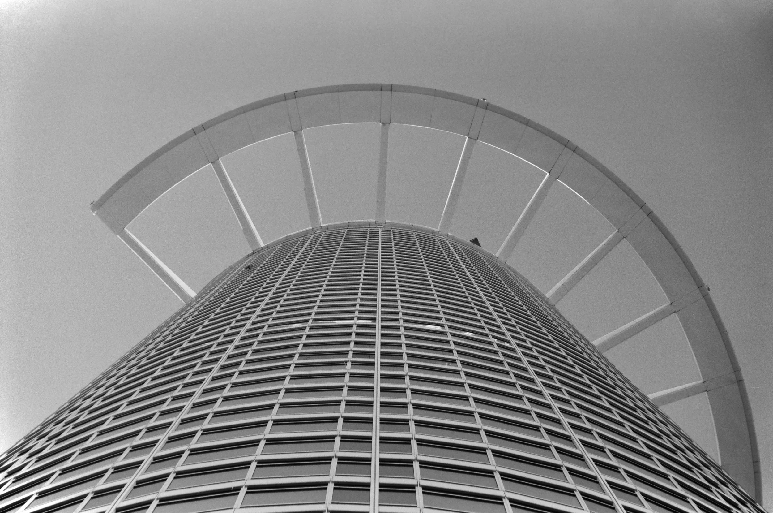 Sun Delighted Crown ・ Auflage 20