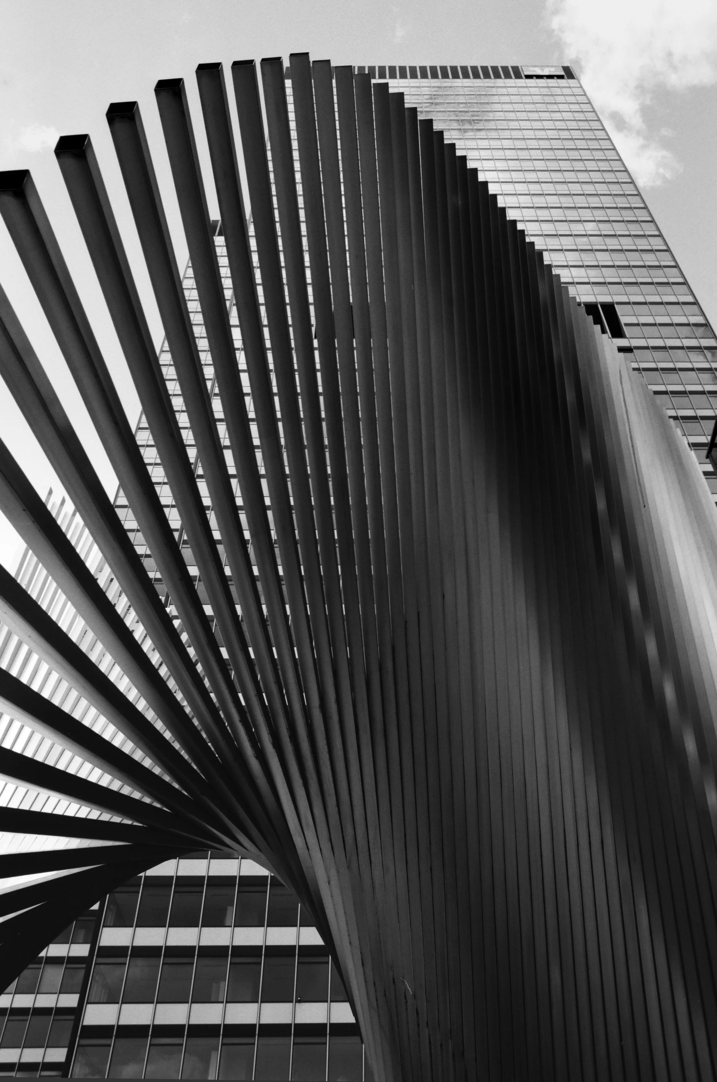 Light and Shadow ・ Auflage 25