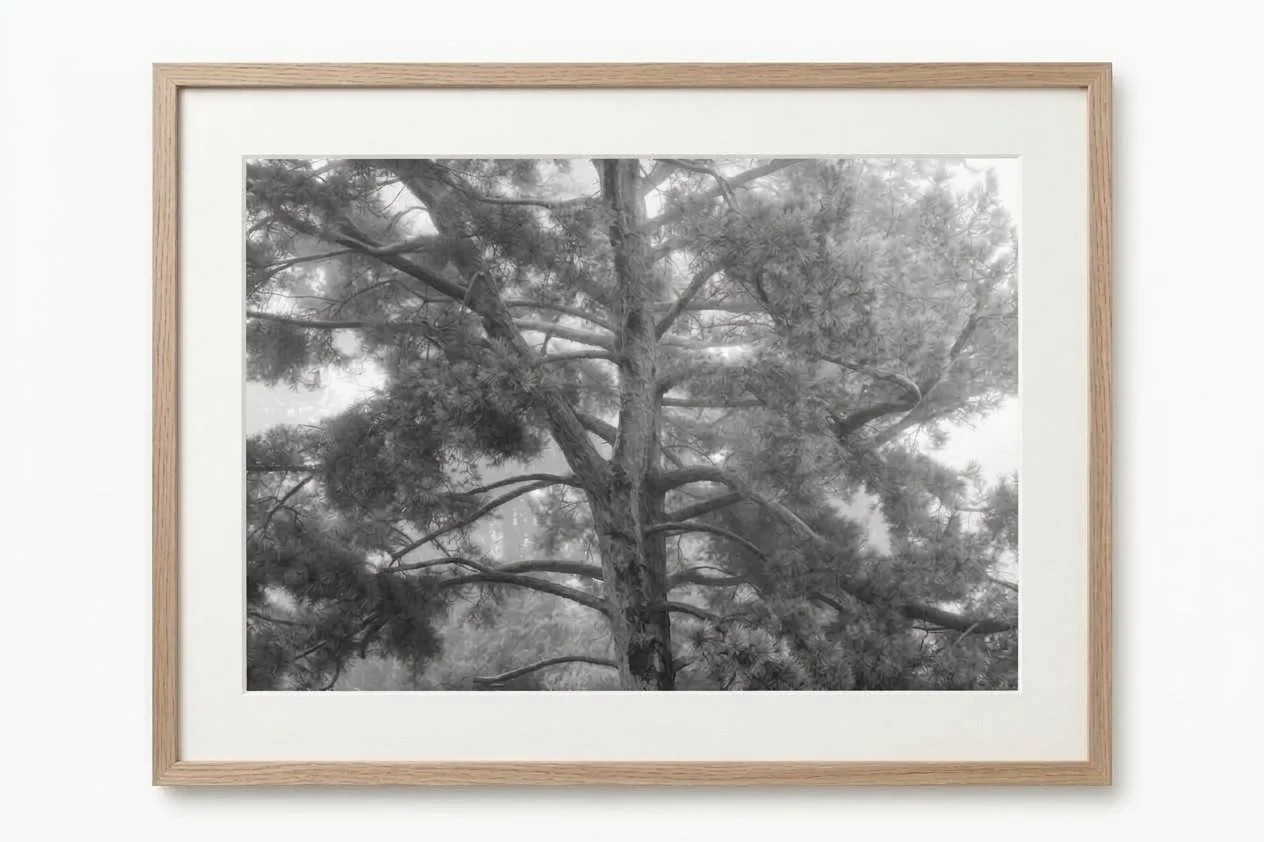 The Tree