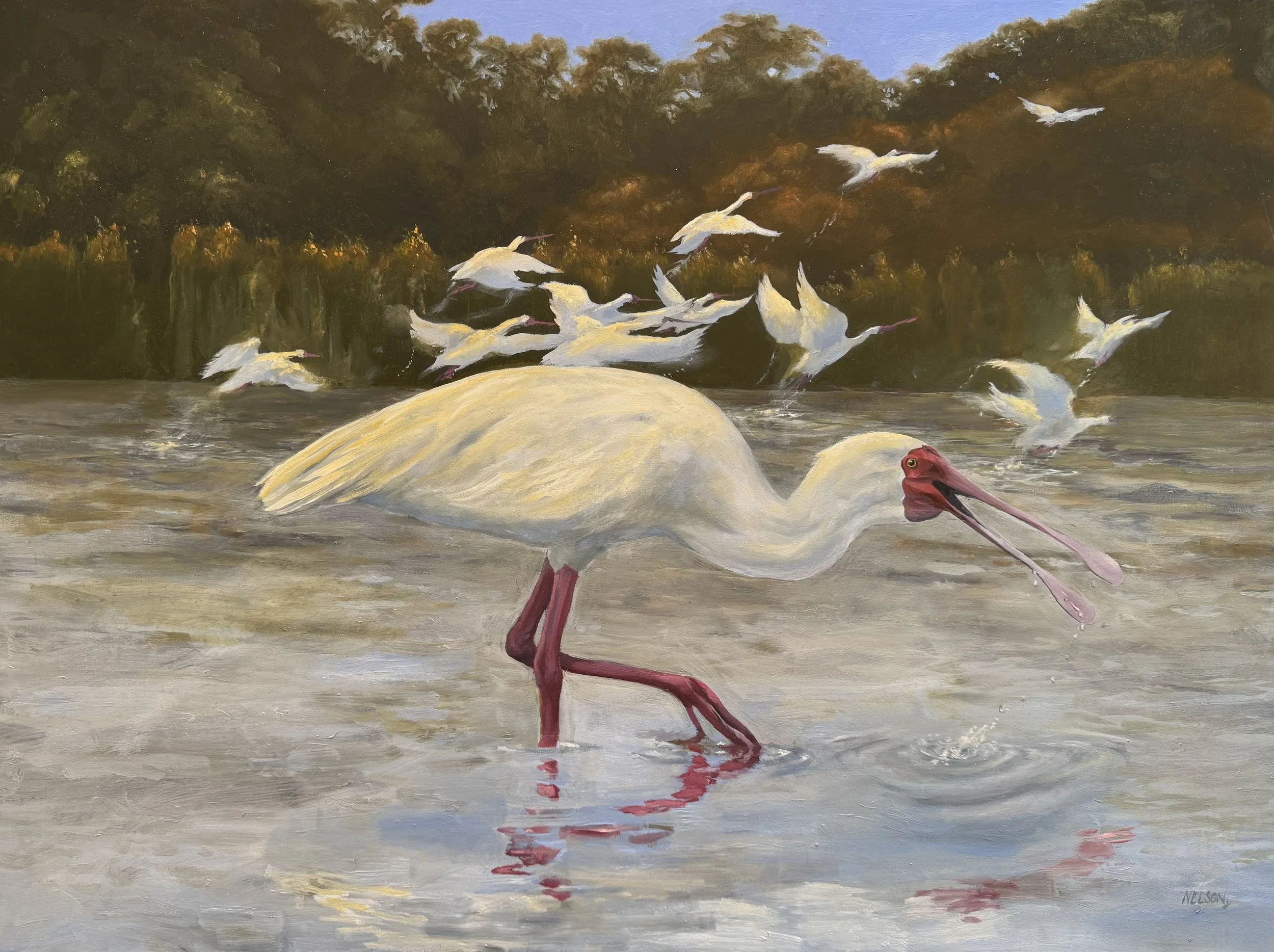 'The Spoonbill'

Oil on panel - 72cm x 61cm

£1,000