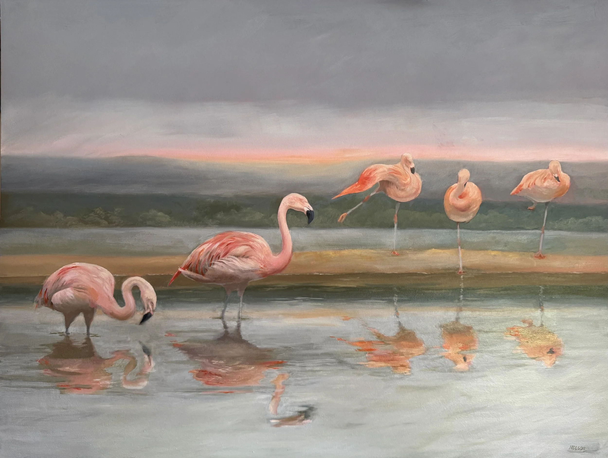 '10 Flamingoes'

Oil on panel - 80cm x 61cm

in the collection of Mrs D Mallorie