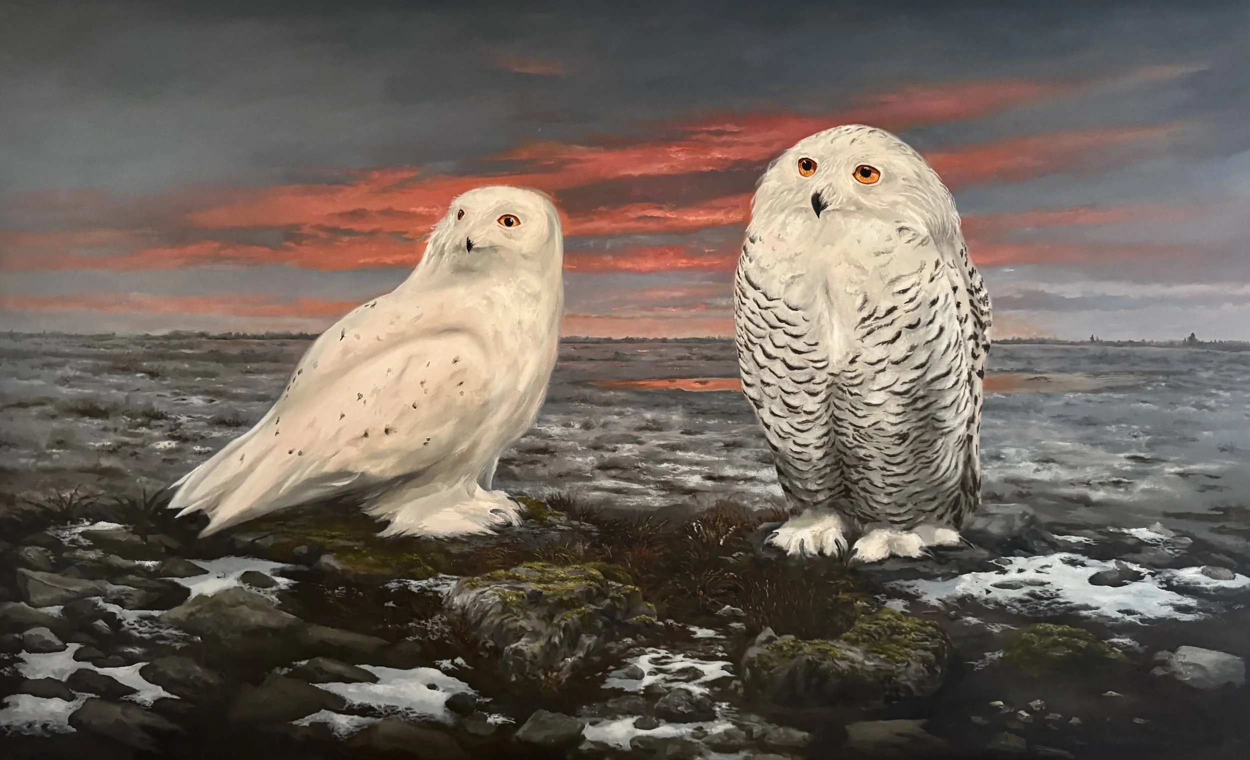 'The Land Of Moose and Elk'

Oil on panel - 98cm x 61cm

In the collection of Mrs D Mallorie