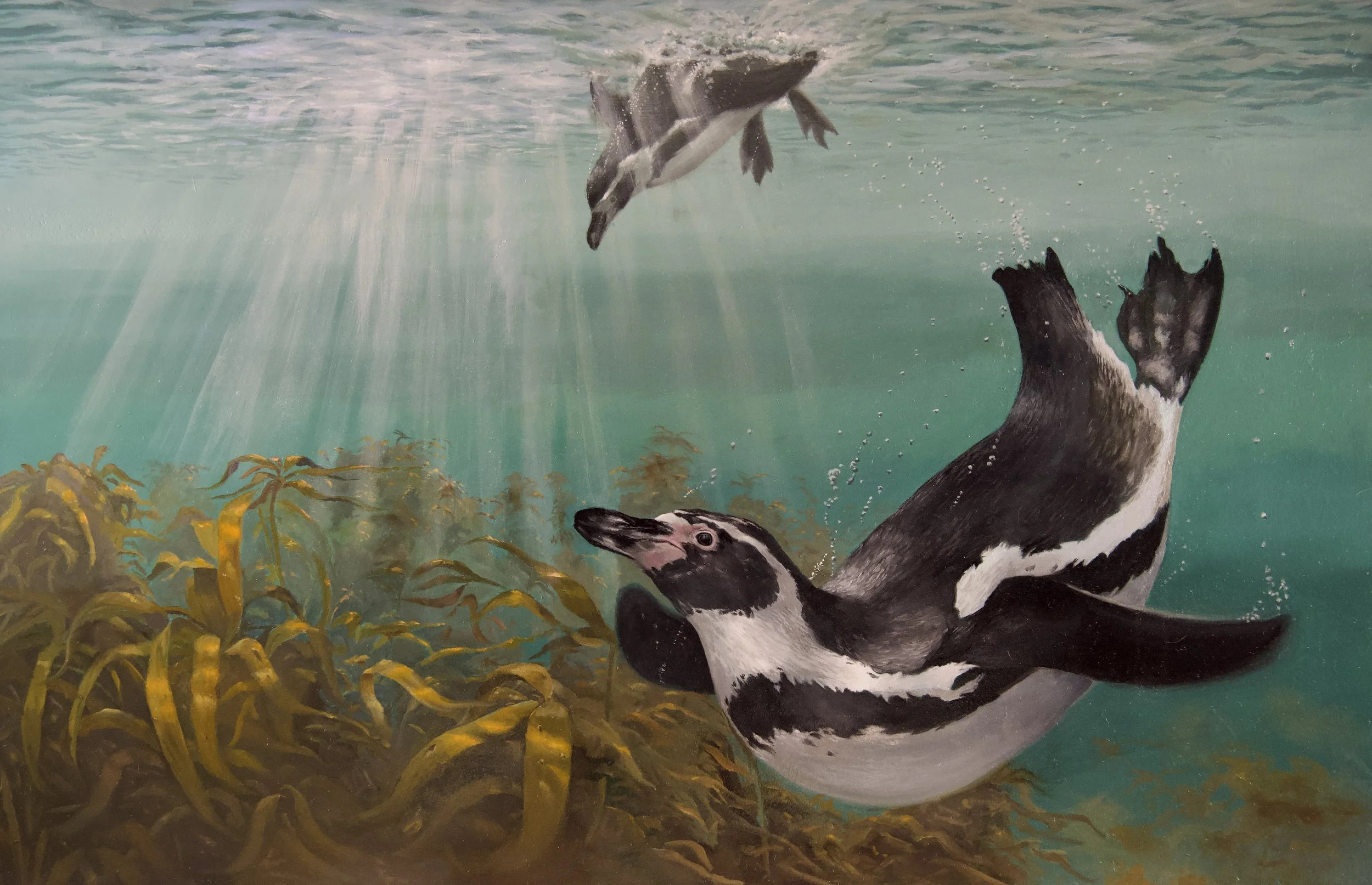 'Penguins'

Oil on panel - 86cm x 56cm