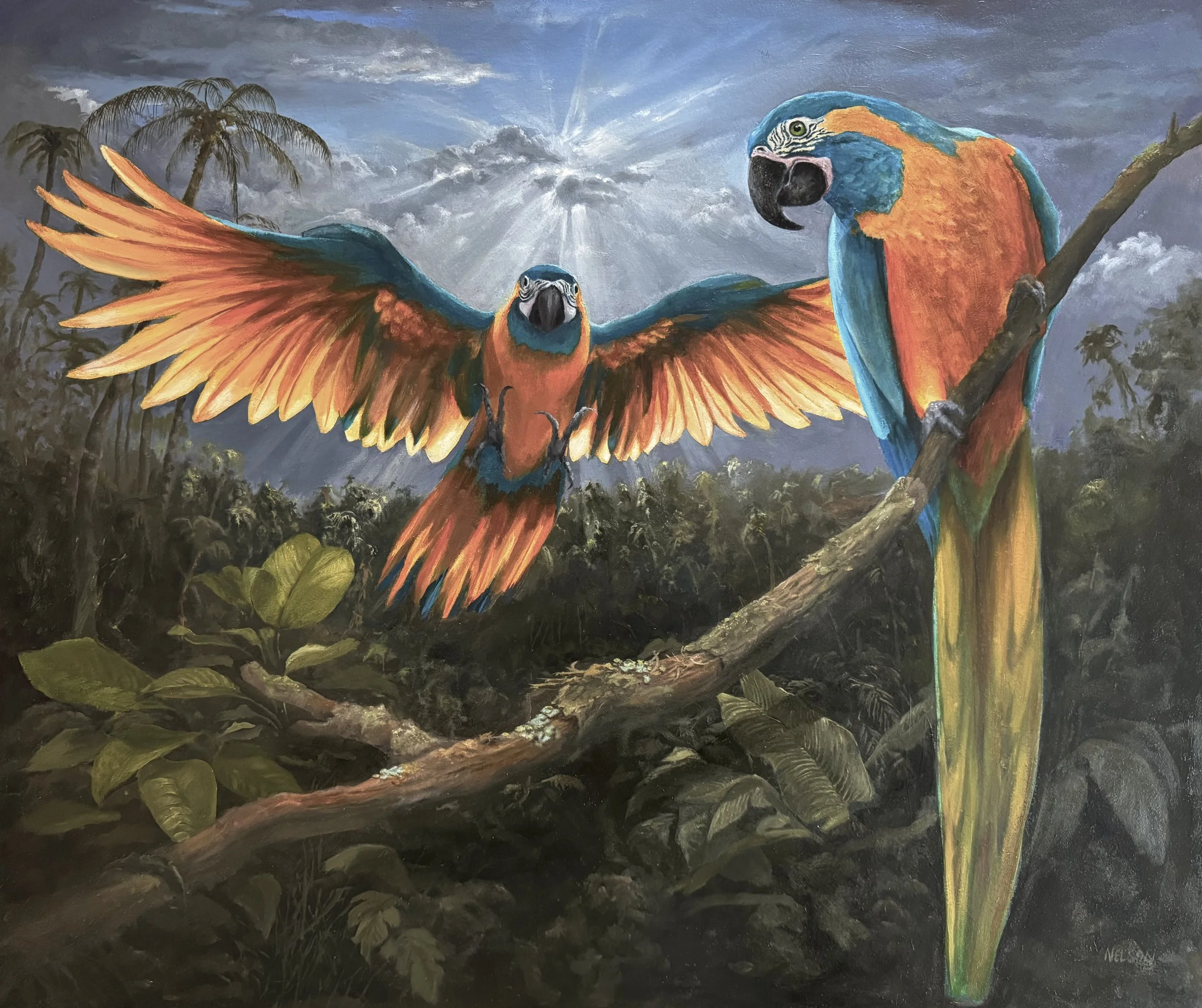 'The Blue Throated Macaws'

Oil on panel - 72cm x 61cm

In the collection of Mr & Mrs G Woollen