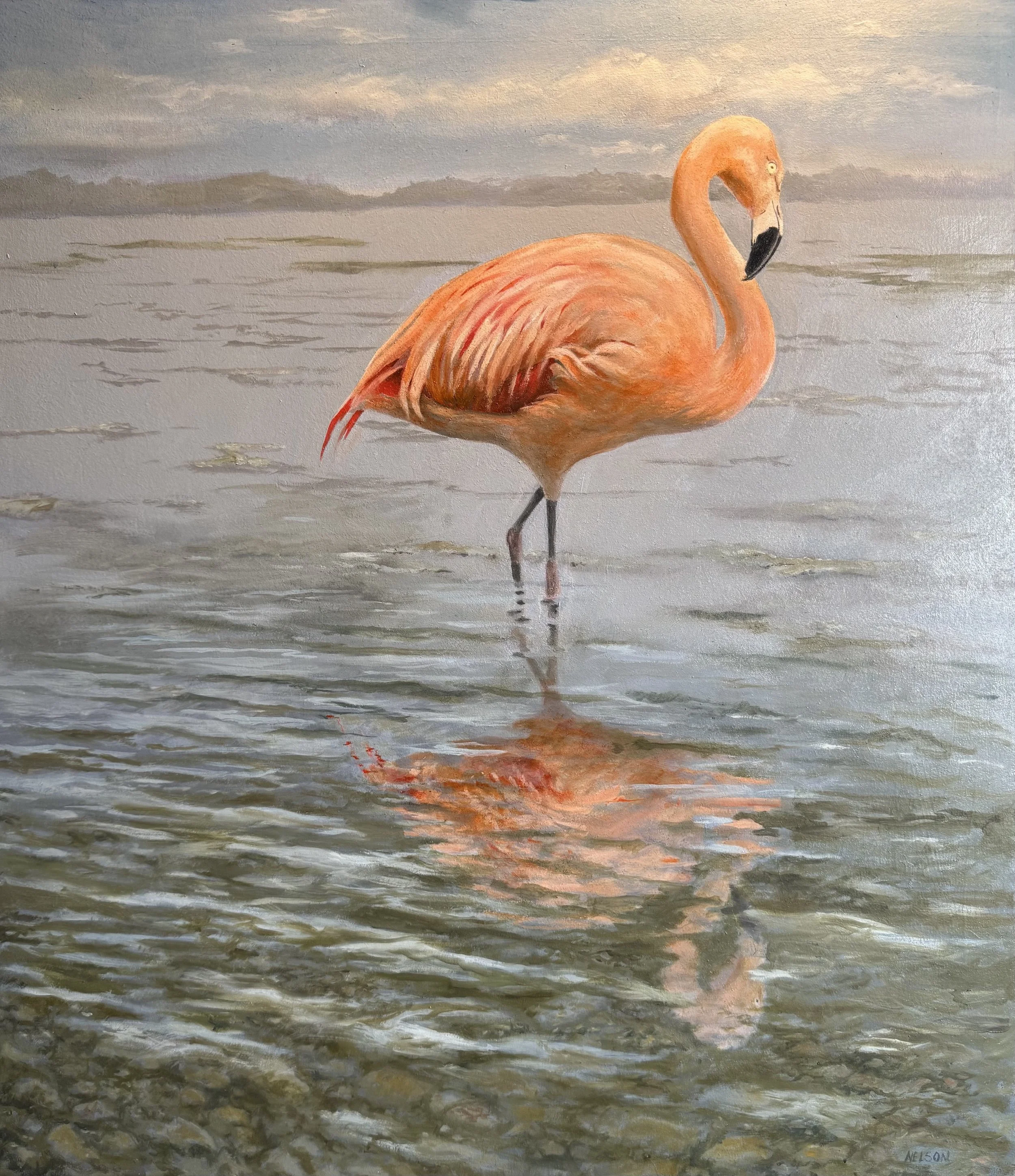 'Flamingo'

Oil on panel  - 71cm x 61cm