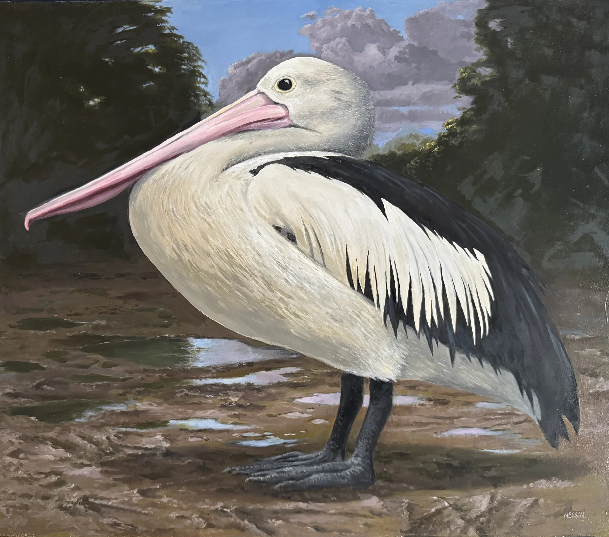 'Pelican'

Oil on panel - 72 cm x 61cm