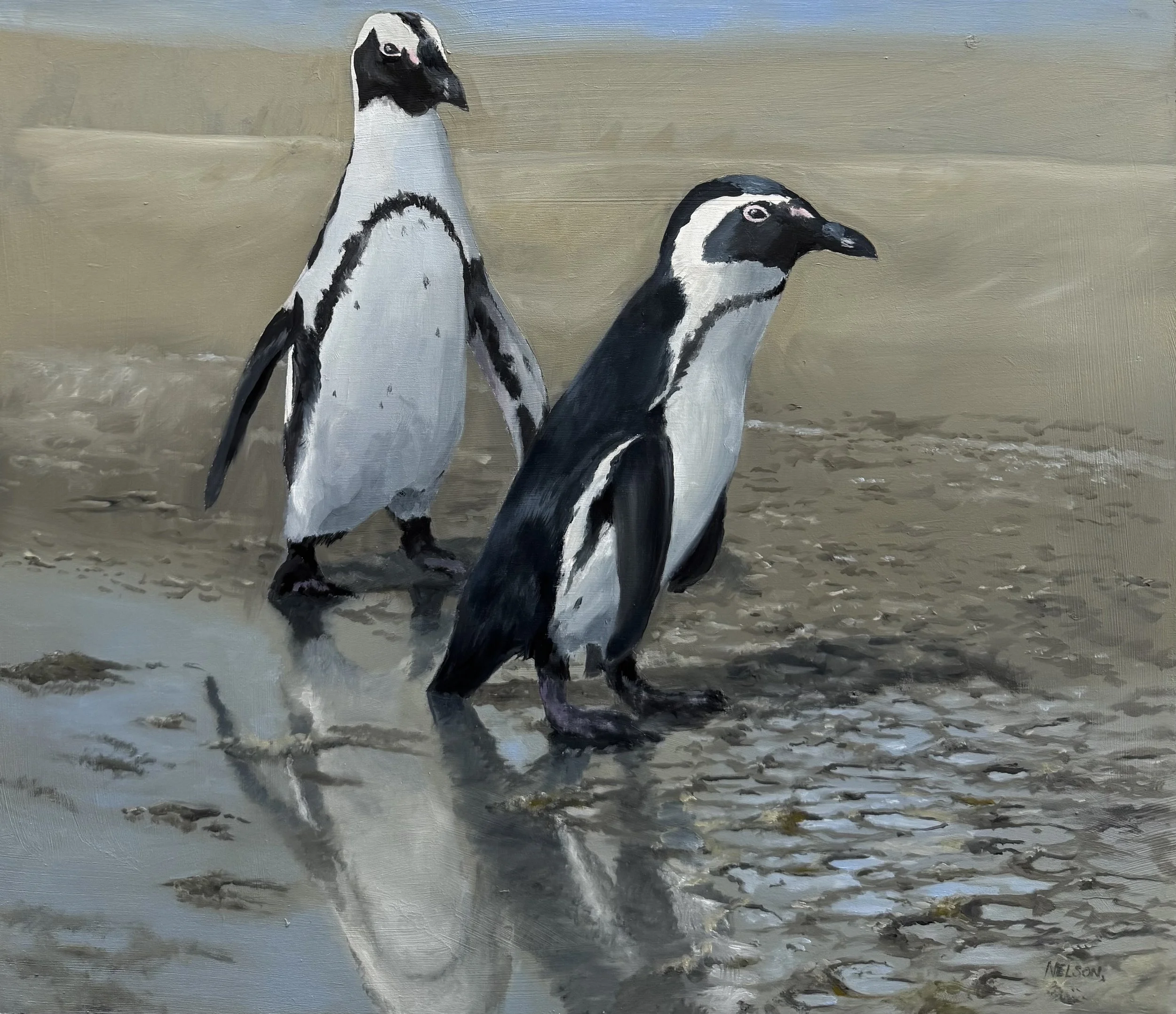 'South African Penguins'

Oil on panel - 44cm x 38cm

£650