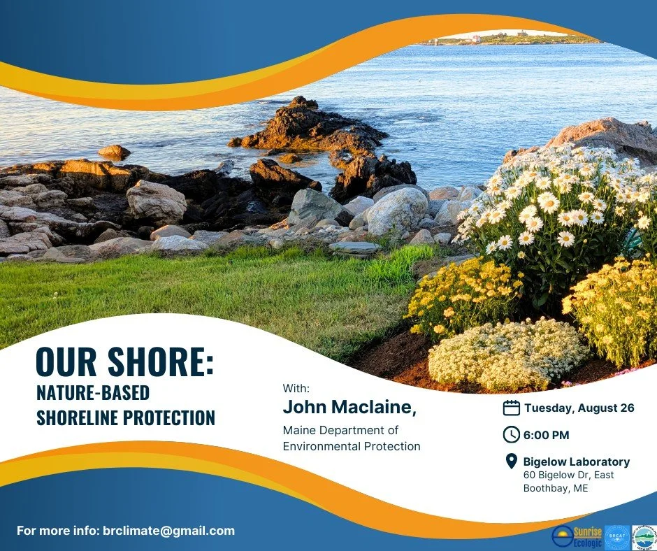 🌊 Save the Date! 🌊
Talk on Shoreline Resilience
📅 August 26 at 6 PM
📍 @bigelow_laboratory (60 Bigelow Dr, East Boothbay)

Shorelines are changing. Are you ready?
Learn how to protect coastal and inland waterfronts with nature-based solutions with