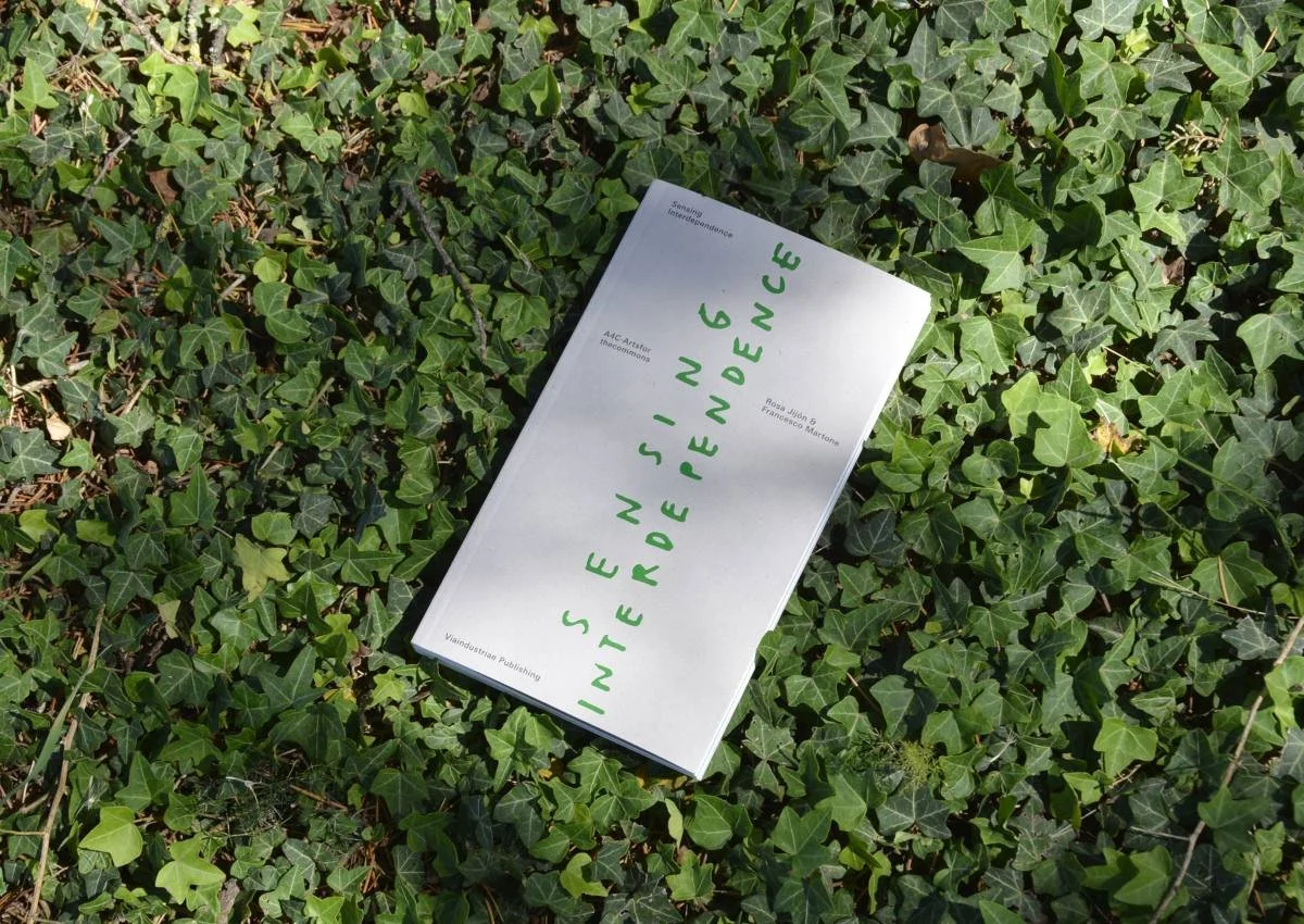 Catalogue Sensing Interdependence Out Now
