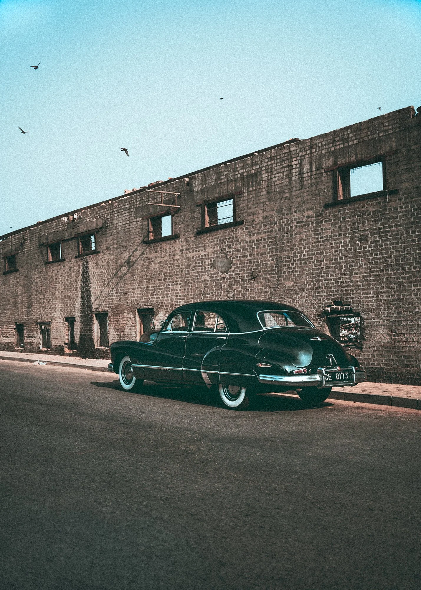 21_DSC08066-Edit copy copy.jpg