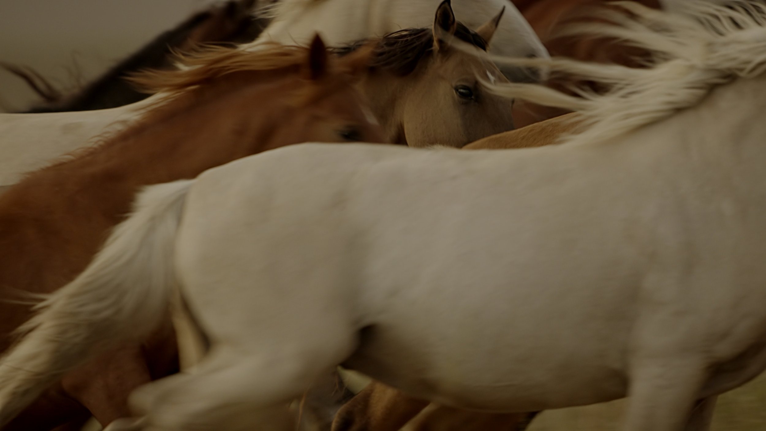 seb_guzman_cinematography_framegrabs4.jpg