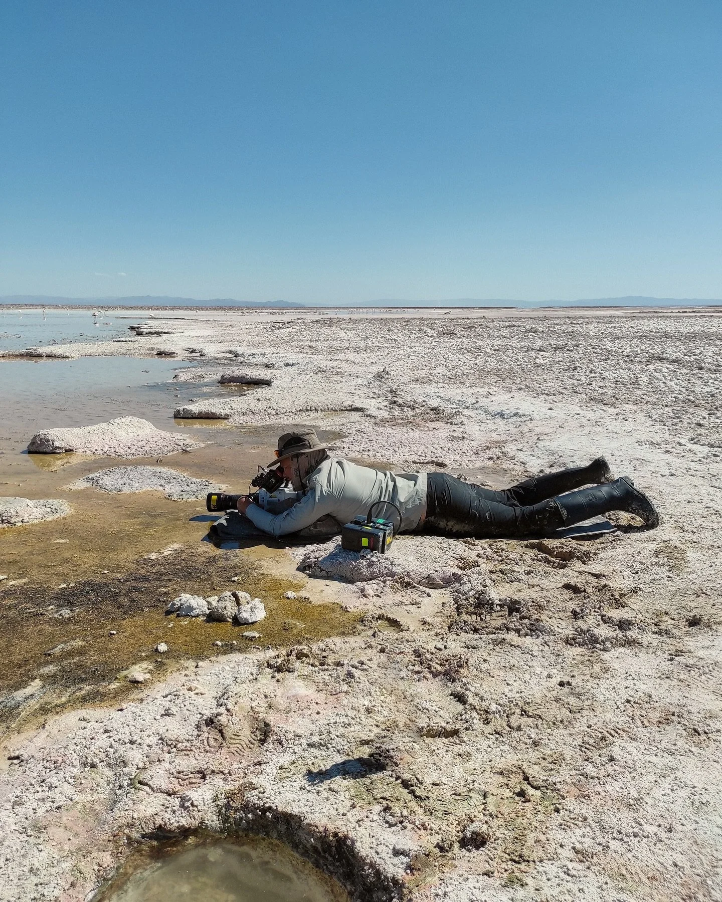 The only way to get close ups sometimes is submerging yourself in corrosive and full of flamingo 🦩 poop waters&hellip; perks of filming wildlife 🤣

#saltflat #chile #lizards #phantomflex4k #desertedplaces #lagoon #cibematography #wildlife #salt #wi