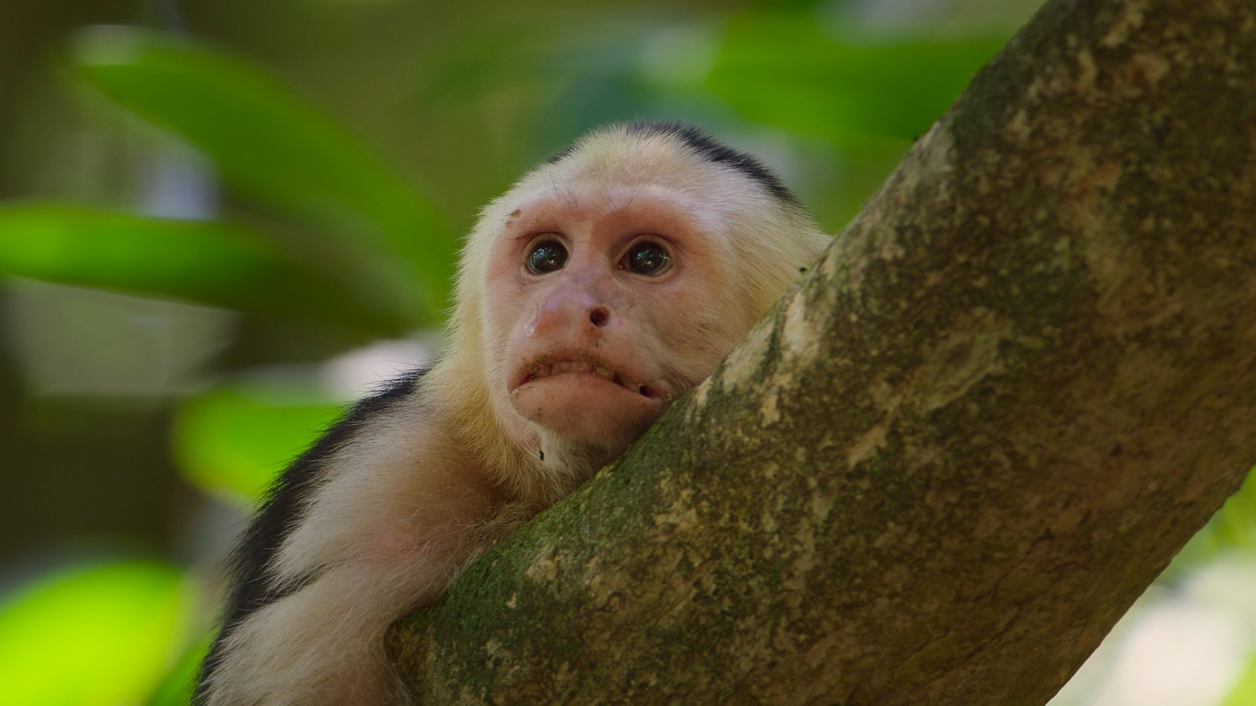 seb_guzman_cinematography_framegrabs142.jpg