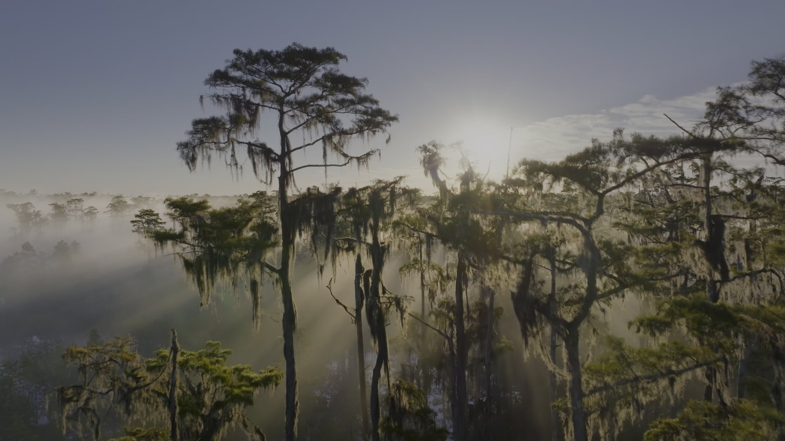 seb_guzman_cinematography_framegrabs16.jpg