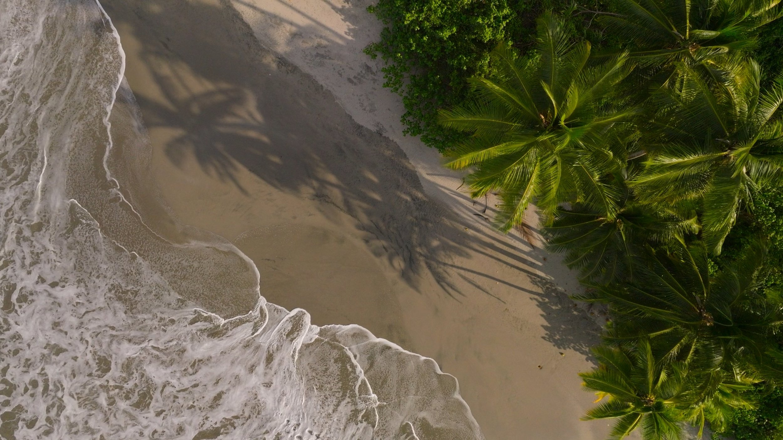 seb_guzman_cinematography_framegrabs87.jpg