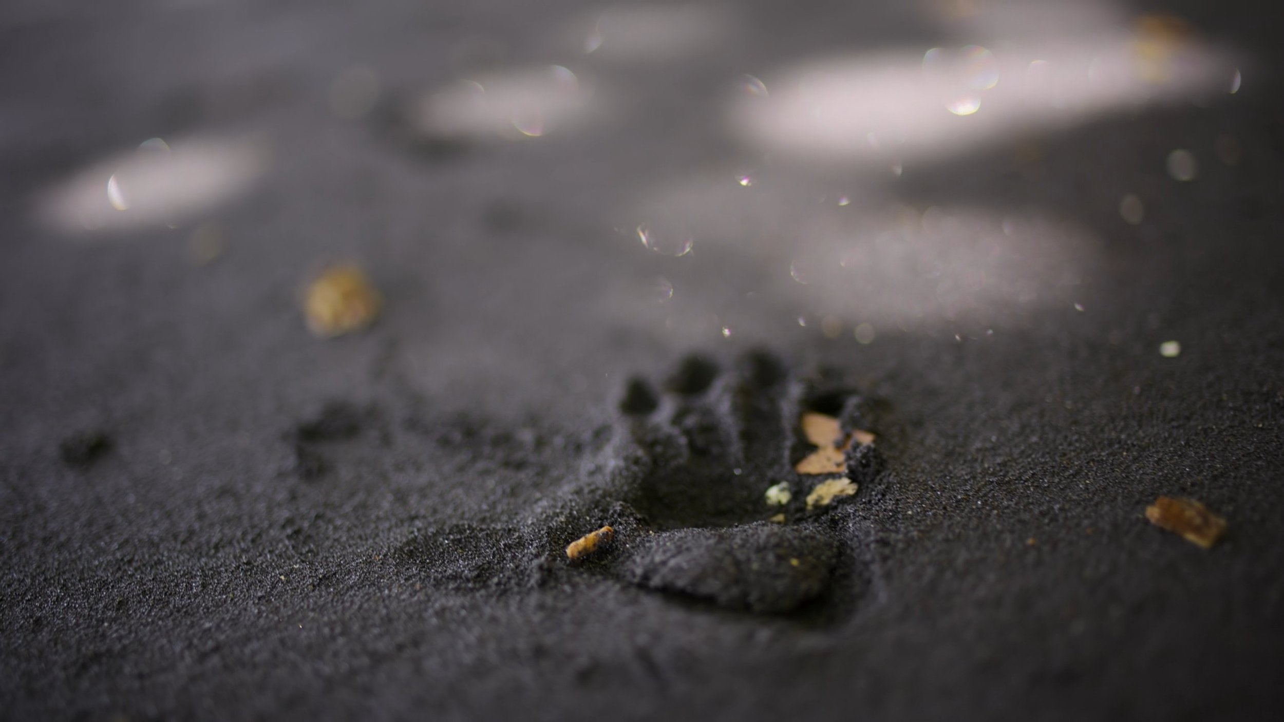 seb_guzman_cinematography_framegrabs114.jpg