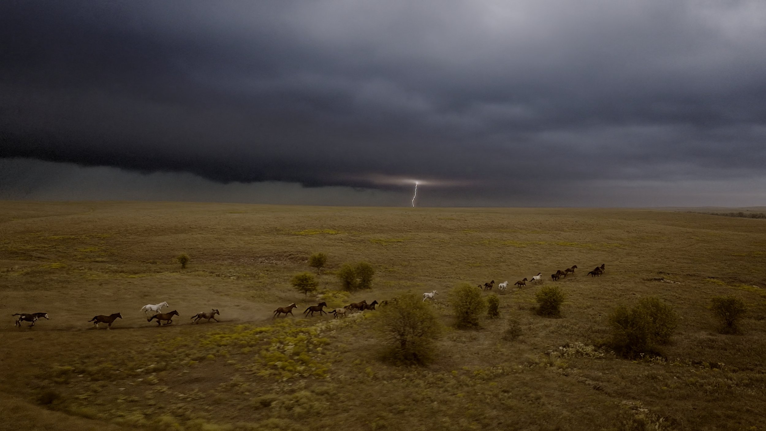 seb_guzman_cinematography_framegrabs6.jpg