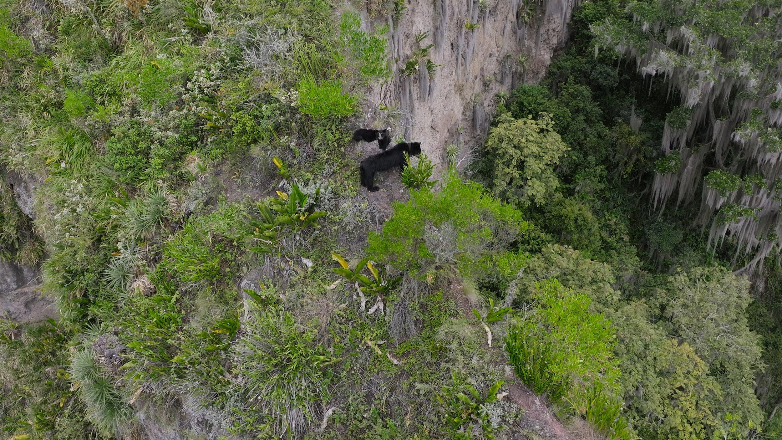 seb_guzman_cinematography_framegrabs36.jpg