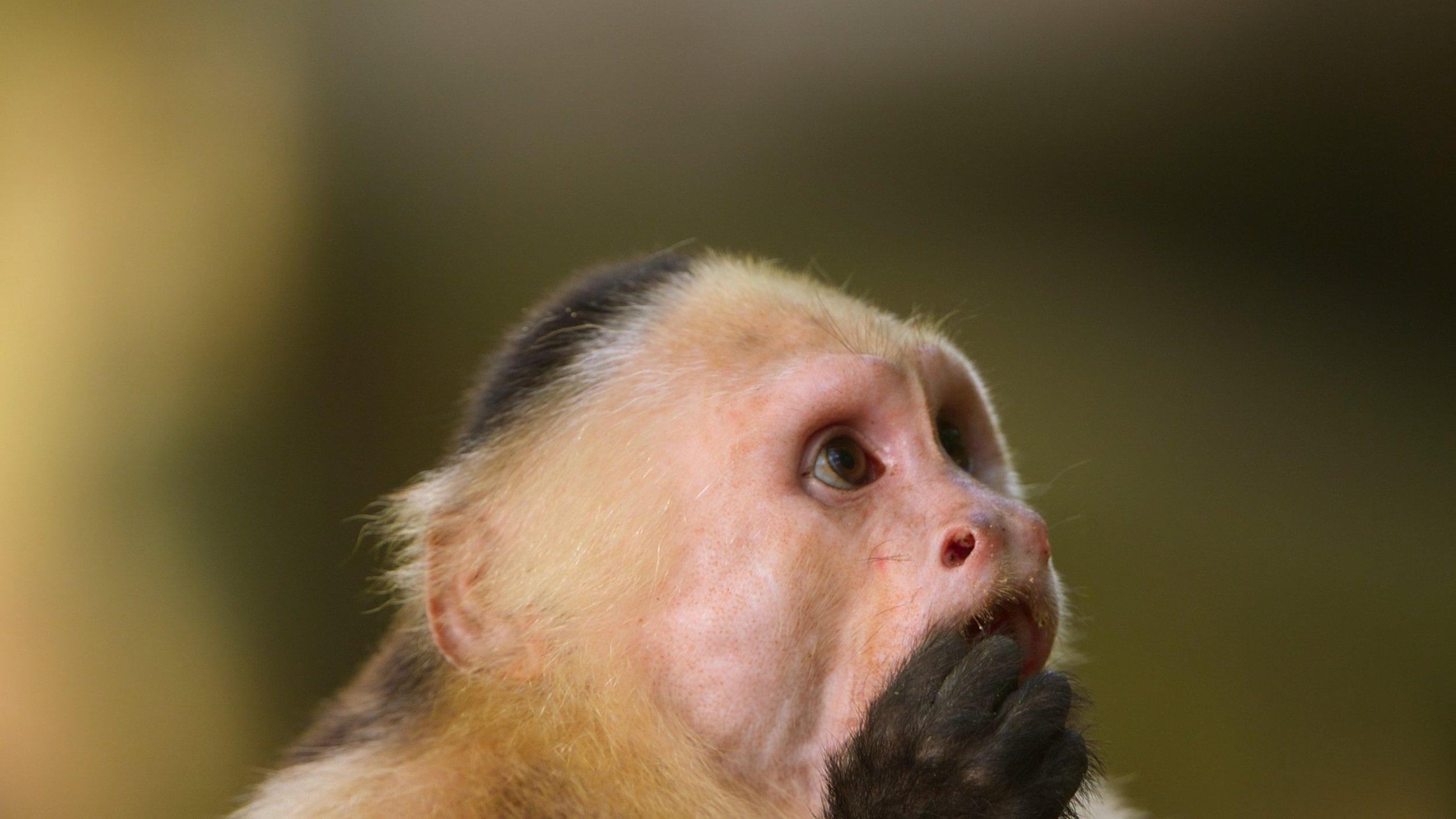 seb_guzman_cinematography_framegrabs124.jpg