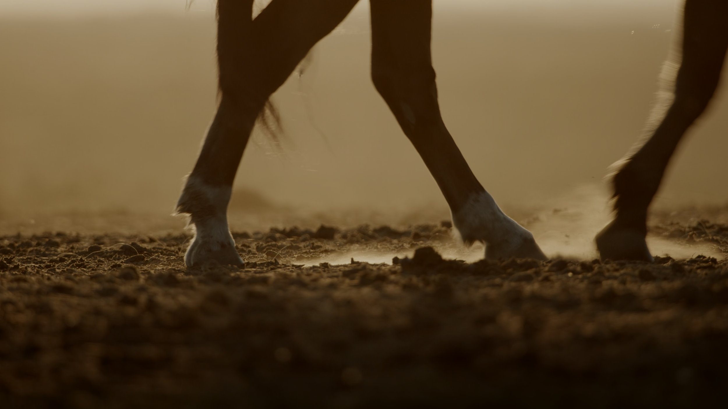 seb_guzman_cinematography_framegrabs12.jpg