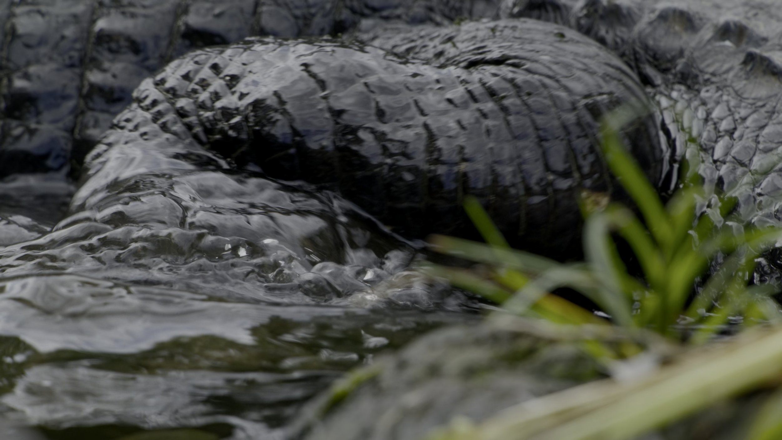 seb_guzman_cinematography_framegrabs31.jpg