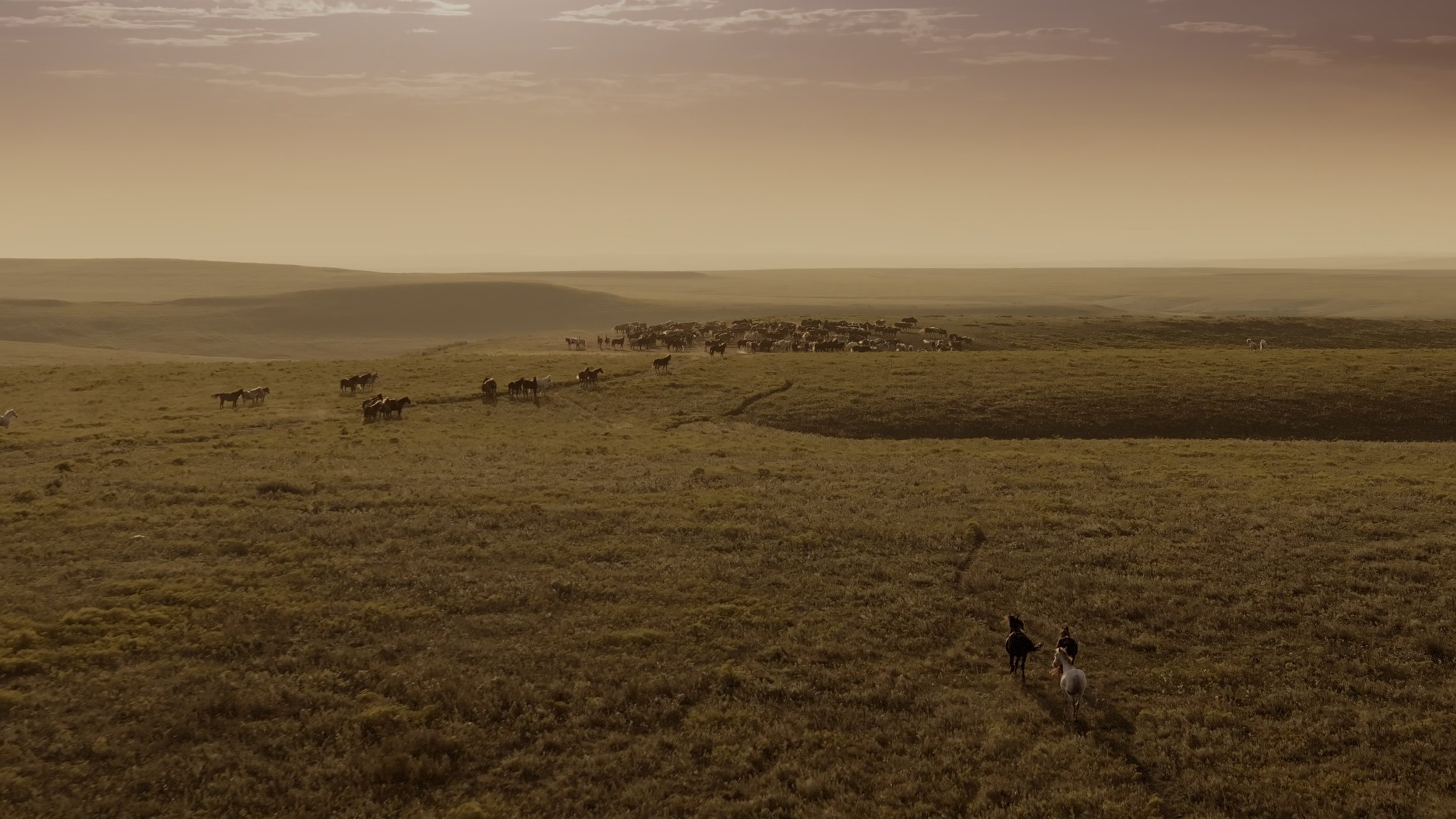 seb_guzman_cinematography_framegrabs7.jpg