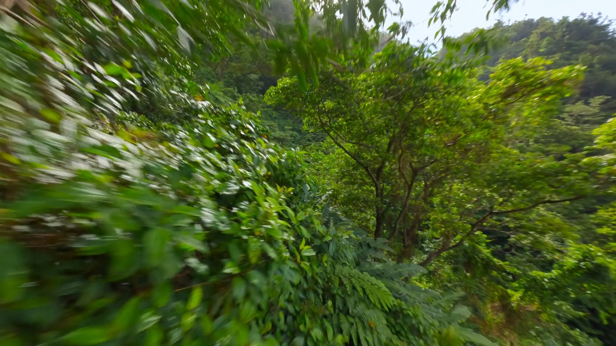 seb_guzman_cinematography_framegrabs95.jpg