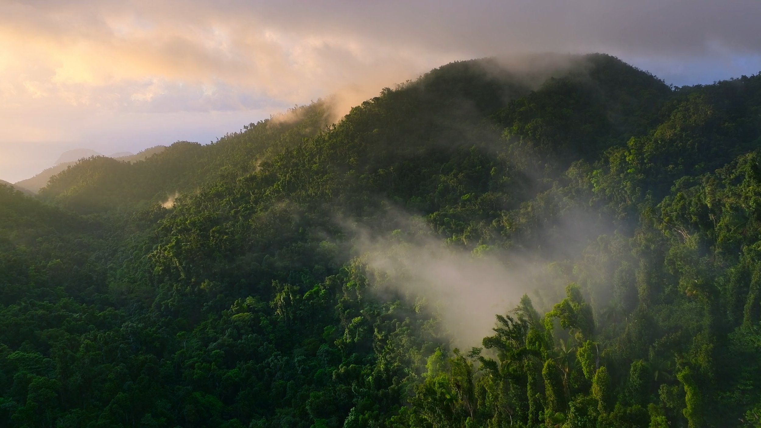 seb_guzman_cinematography_framegrabs73.jpg