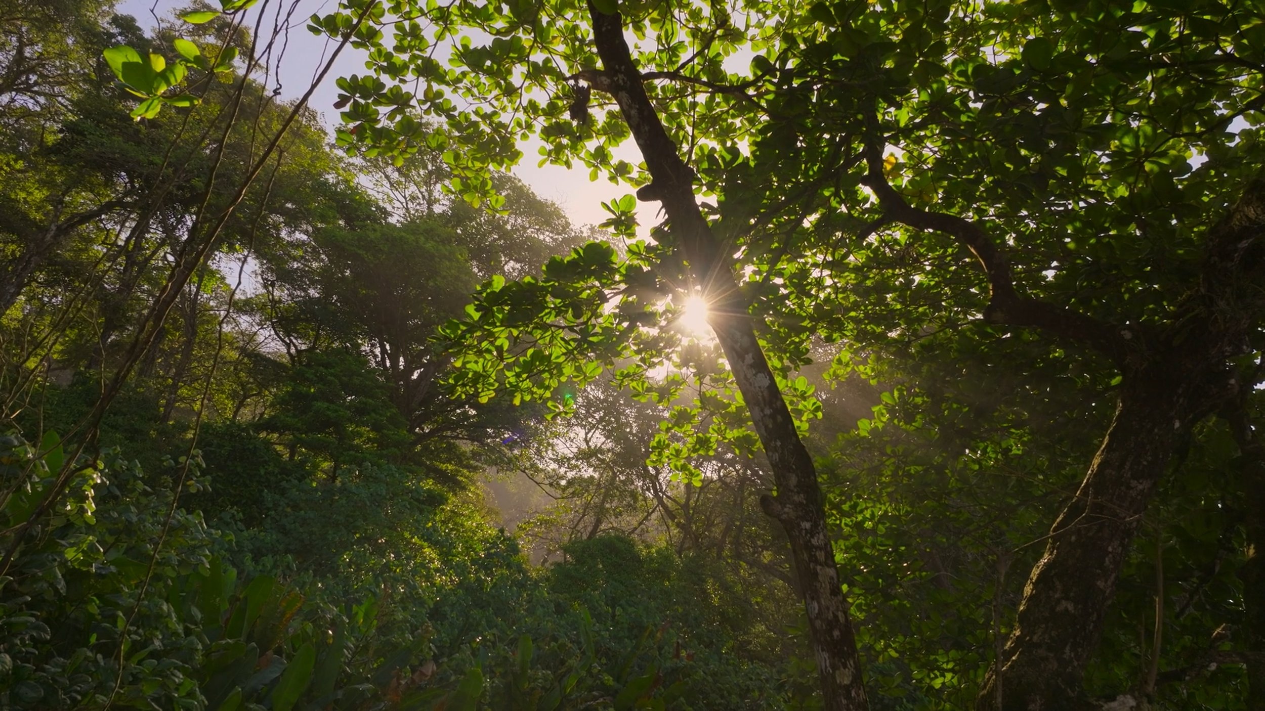 seb_guzman_cinematography_framegrabs143.jpg