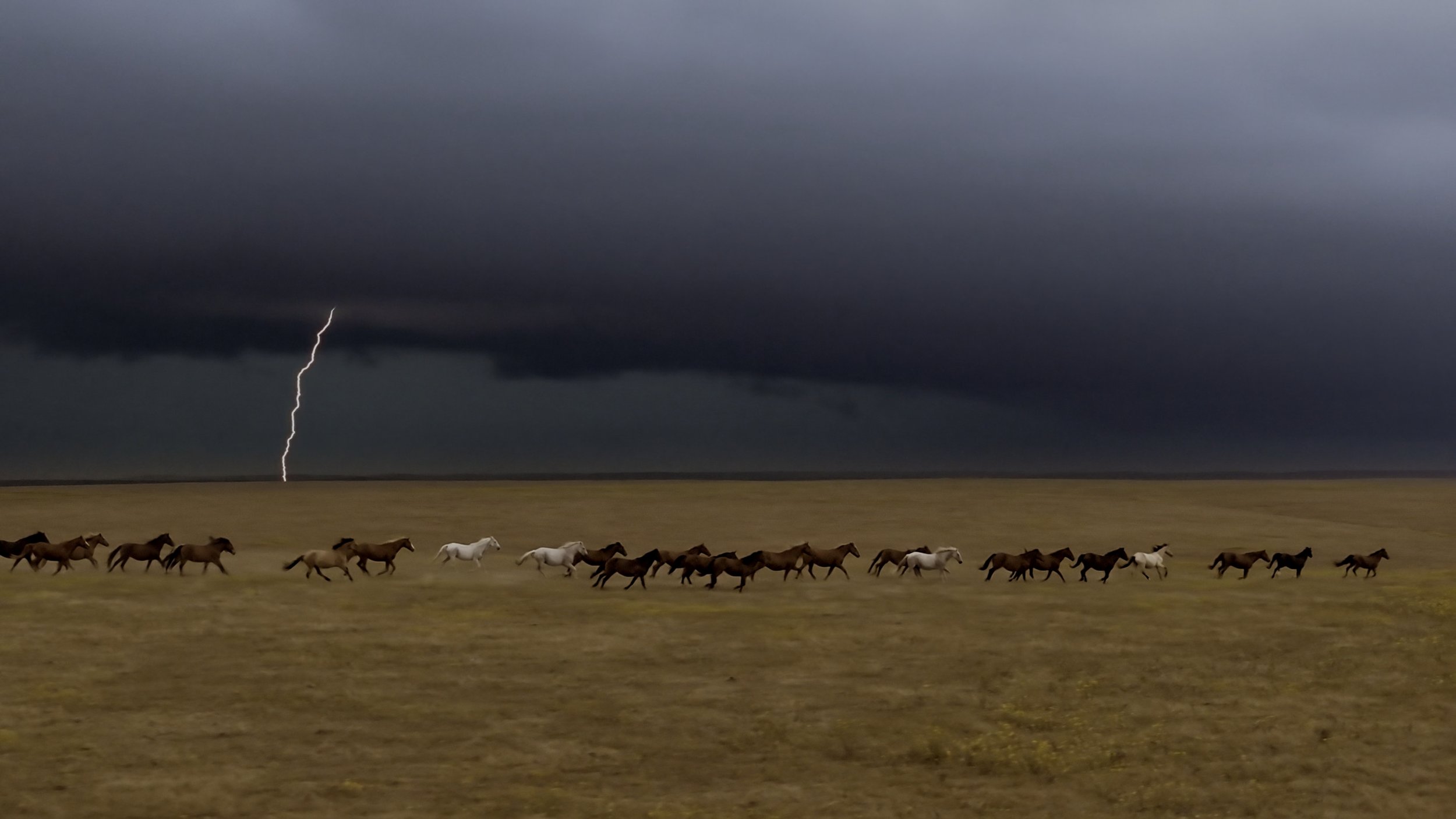 seb_guzman_cinematography_framegrabs14.jpg