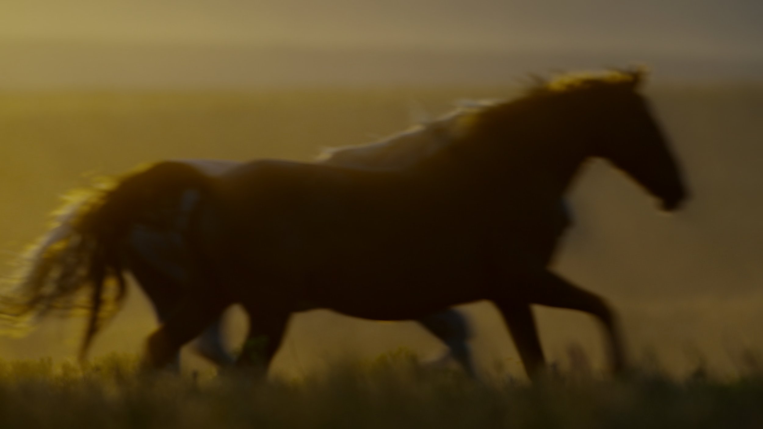 seb_guzman_cinematography_framegrabs13.jpg
