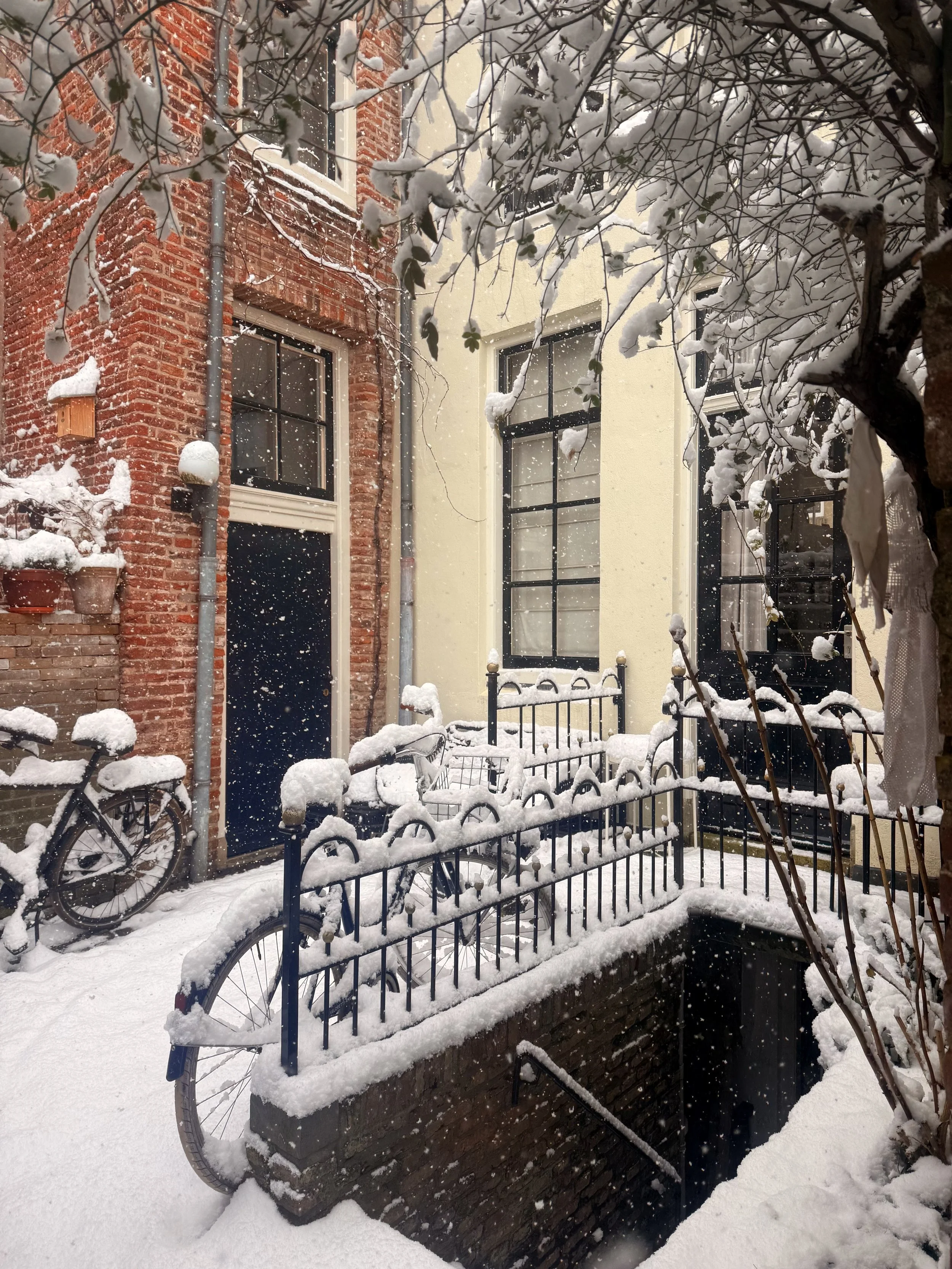 Do you wanna build a snow man? 