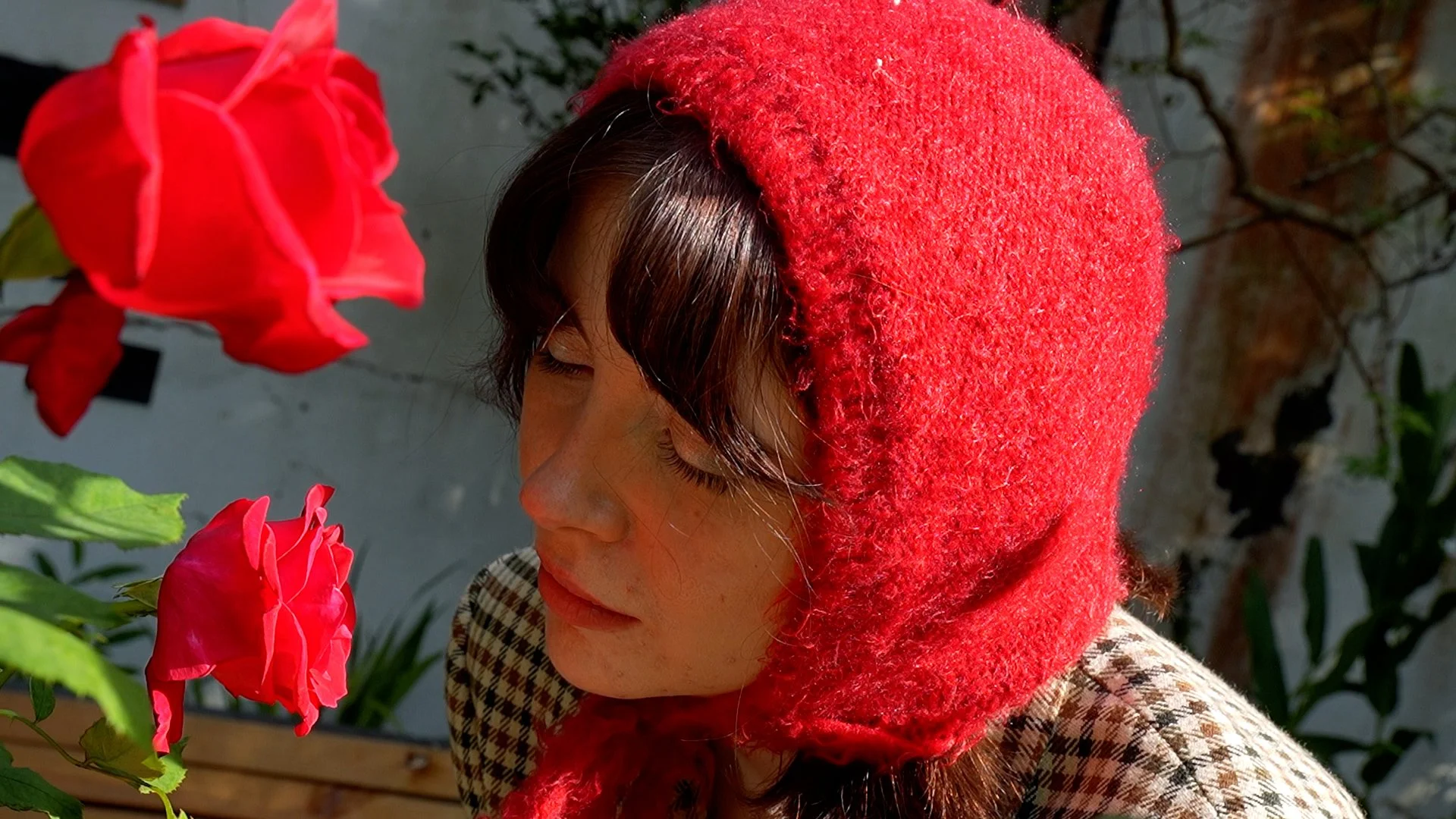 Sequence 05.00_00_07_13.Still001.jpg