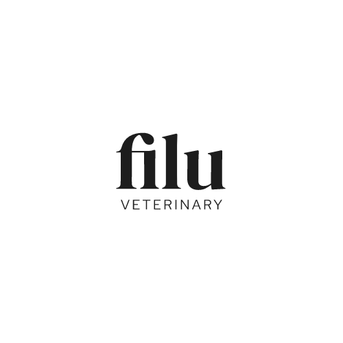 filu.webp
